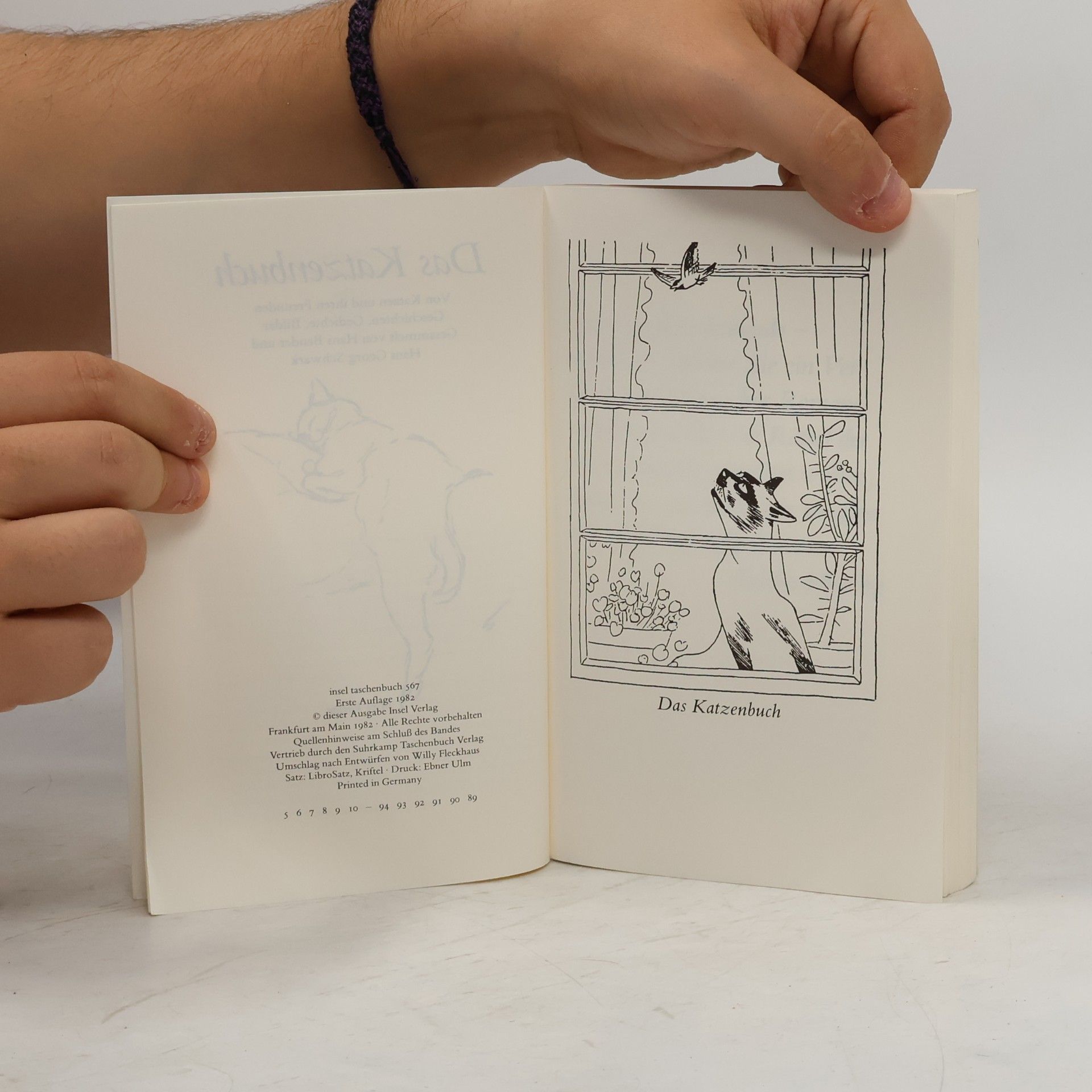 Autorenkollektiv Das Katzenbuch