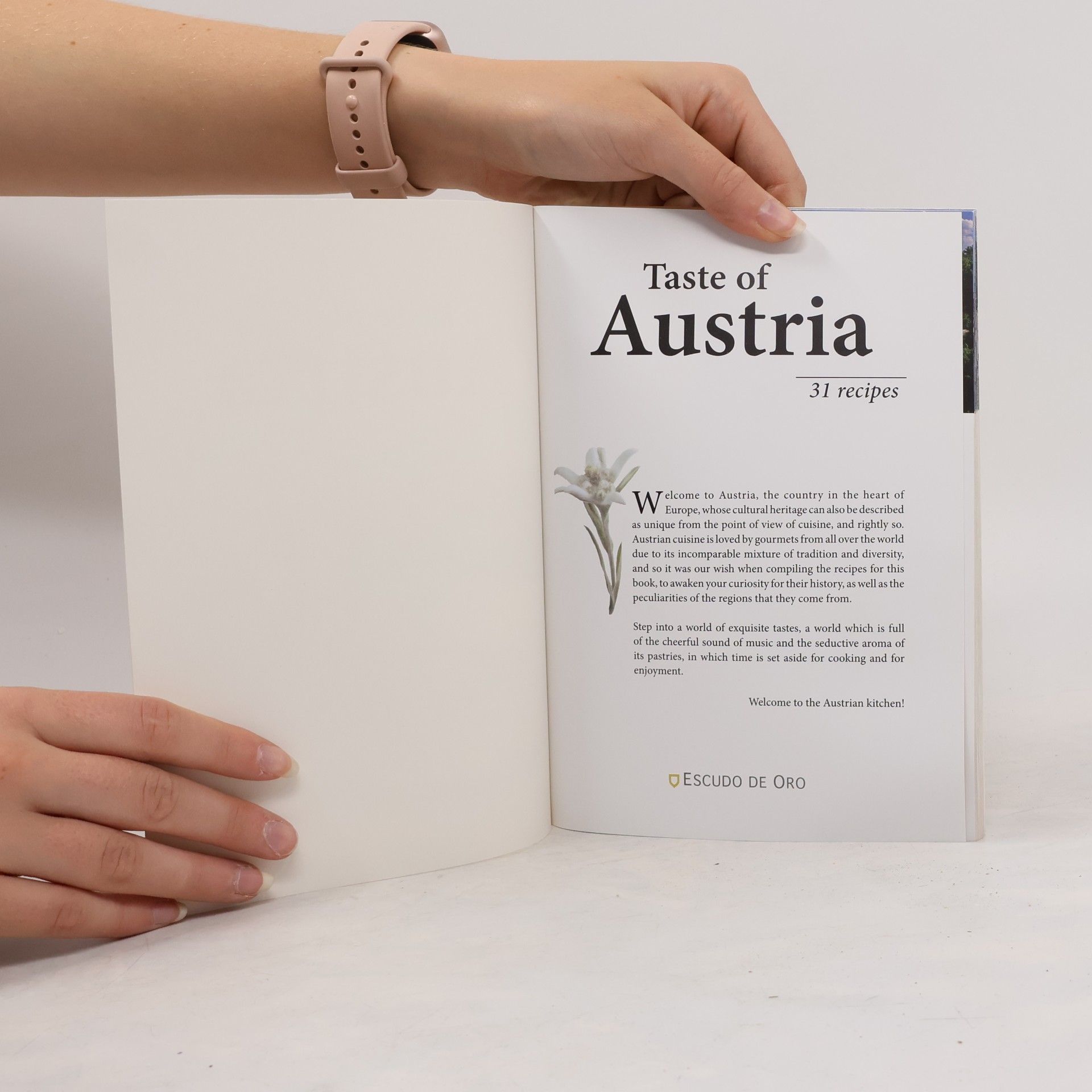 Autorenkollektiv Taste of Austria