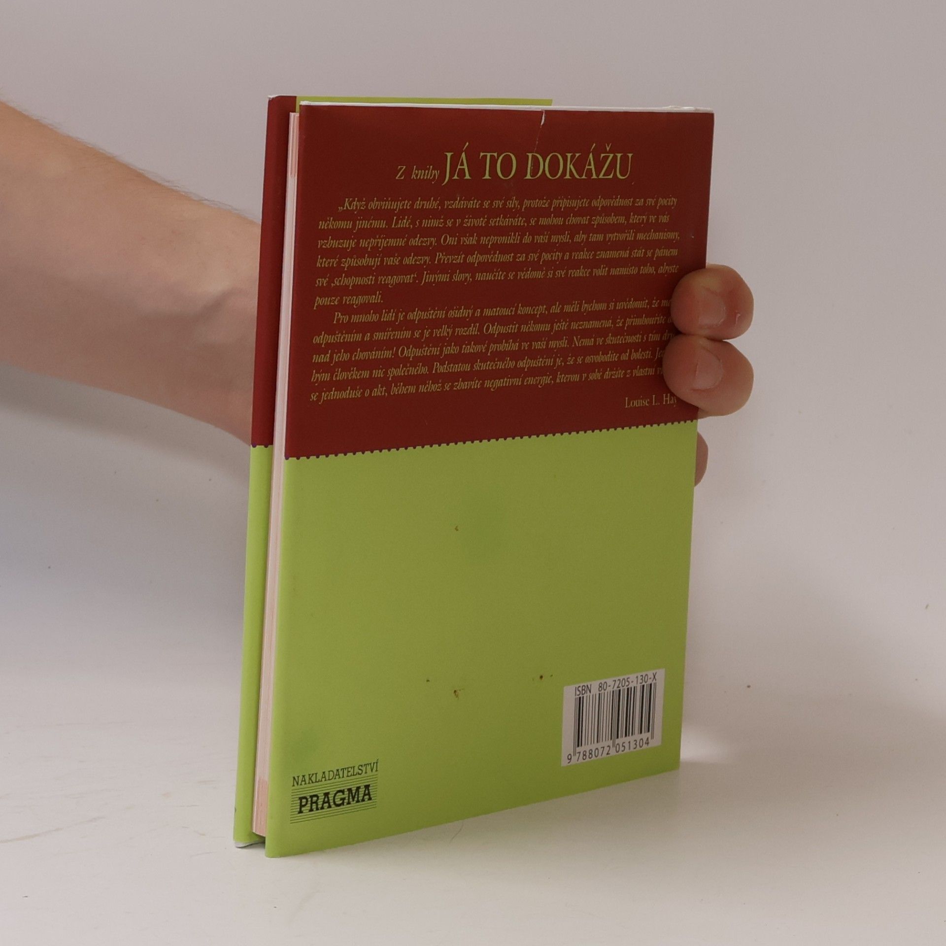 Lousie L. Hay Já to dokážu
