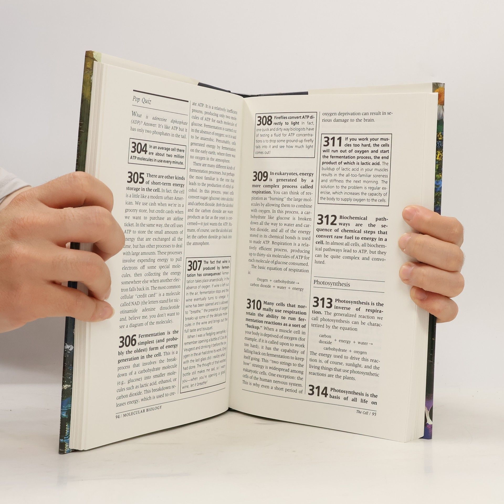 James Trefil 1001 Things Everyone Should Know About Science
