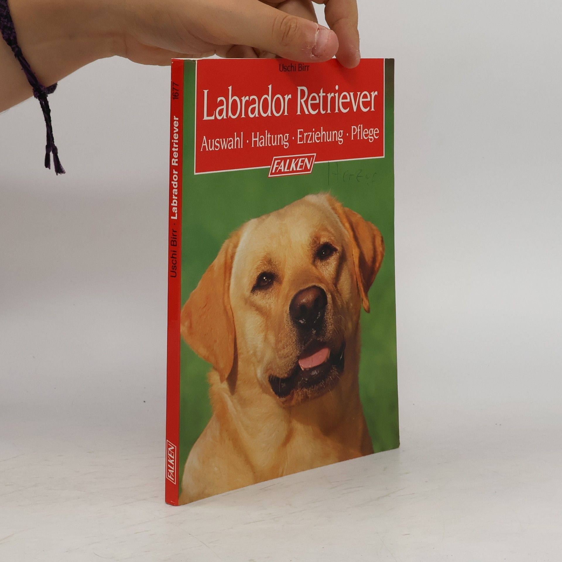 Ursula Birr Labrador Retriever