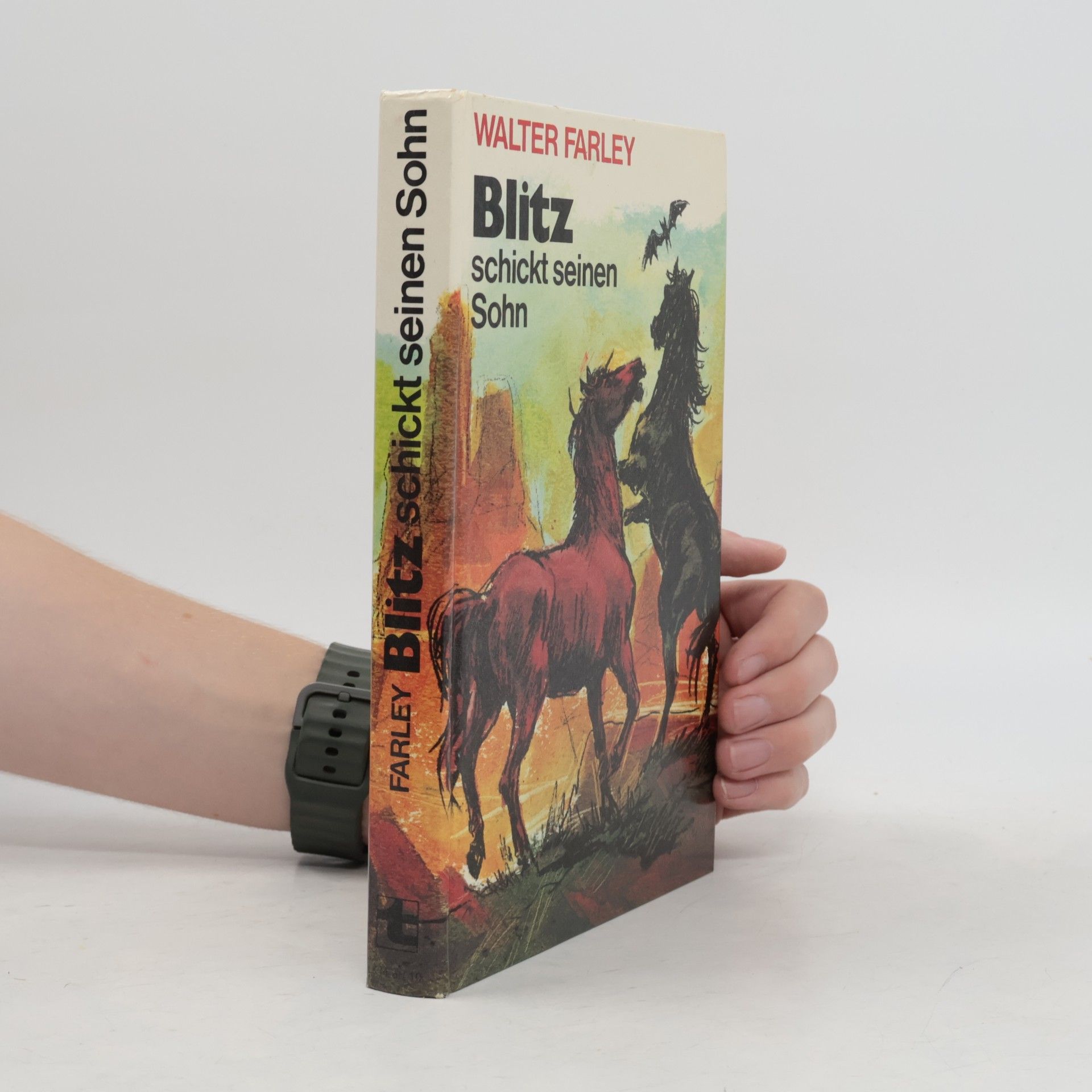 Walter Farley Blitz schickt seinen Sohn