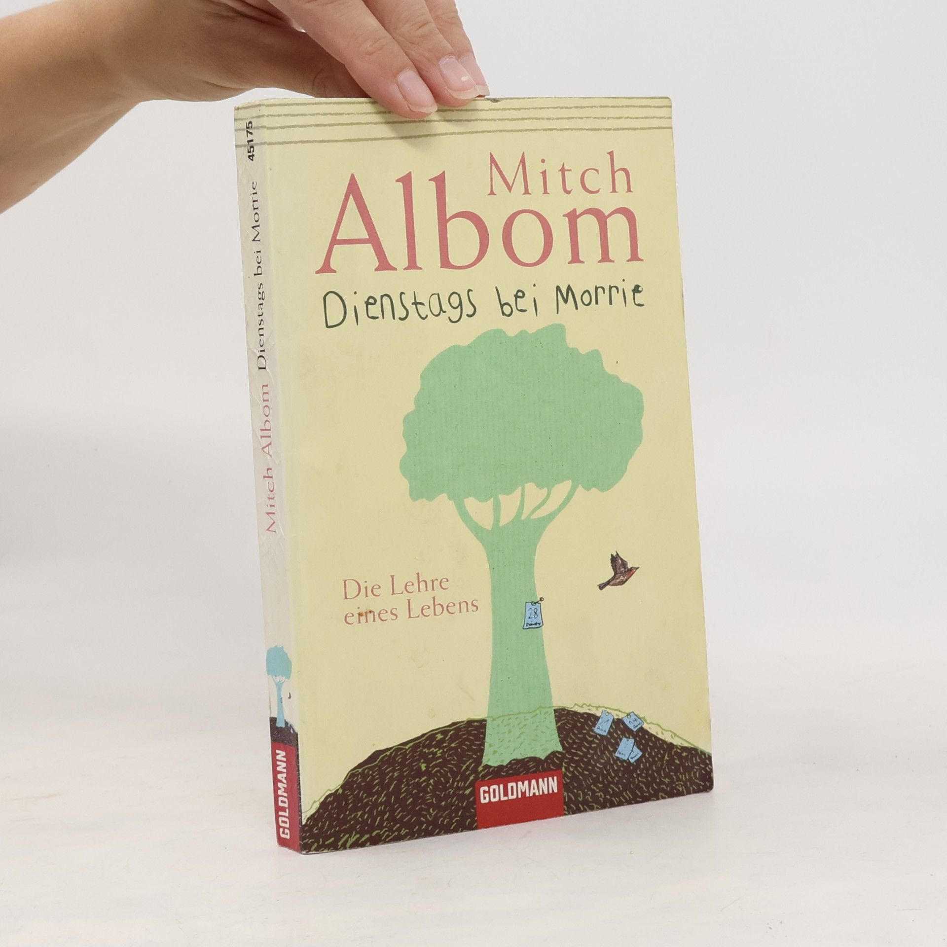 Mitch Albom Dienstags bei Morrie