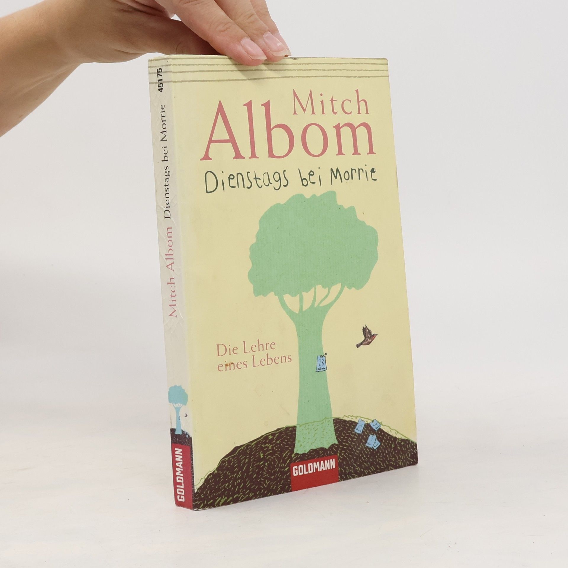 Mitch Albom Dienstags bei Morrie