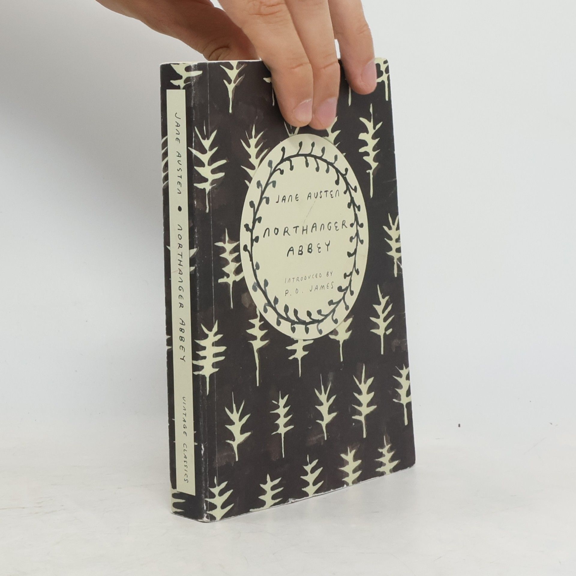 Jane Austen Northanger Abbey (Vintage Classics Austen Series)