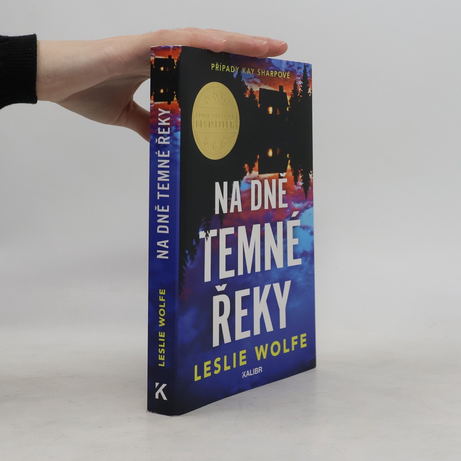 Leslie Wolfe Na dně Temné řeky