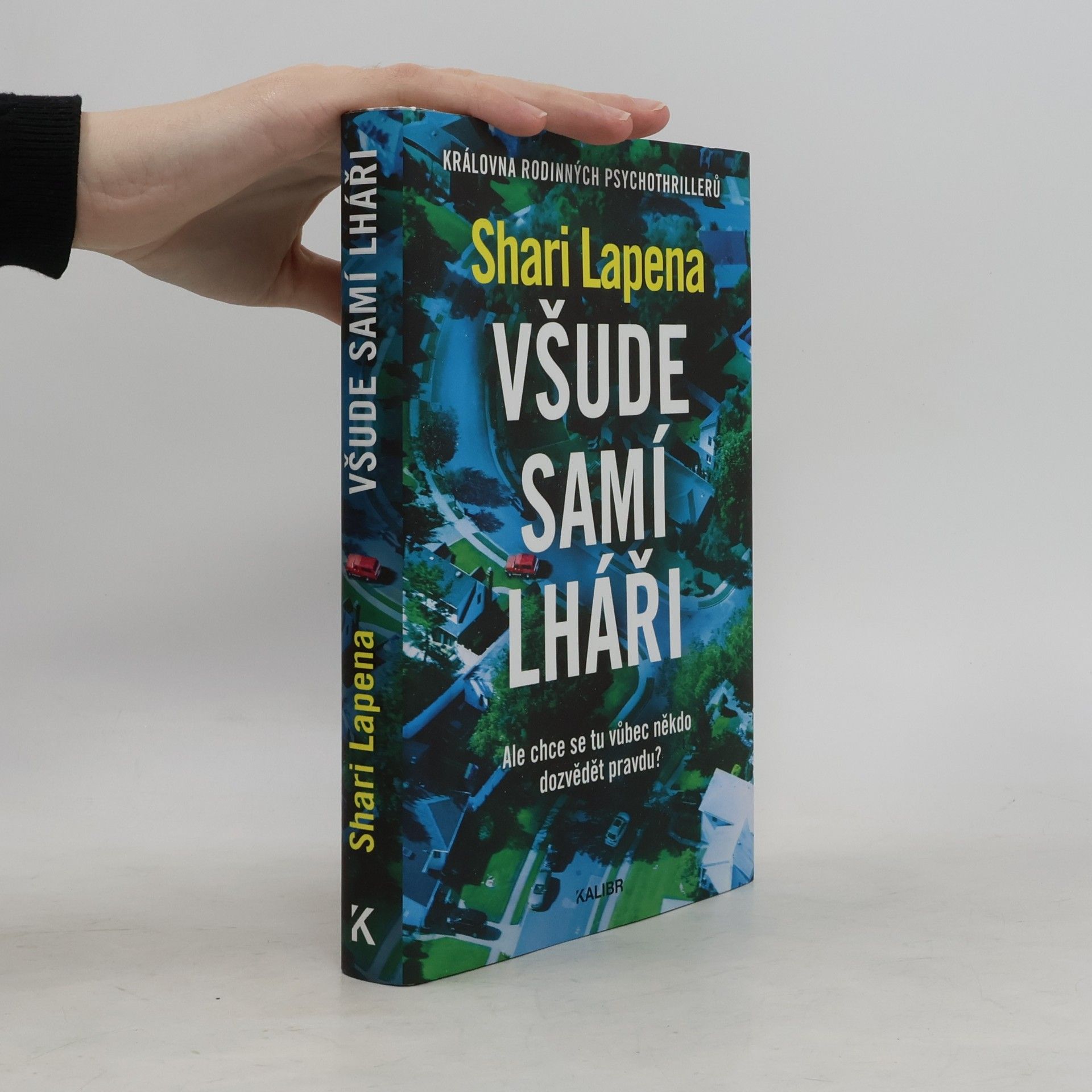 Shari Lapena Všude samí lháři