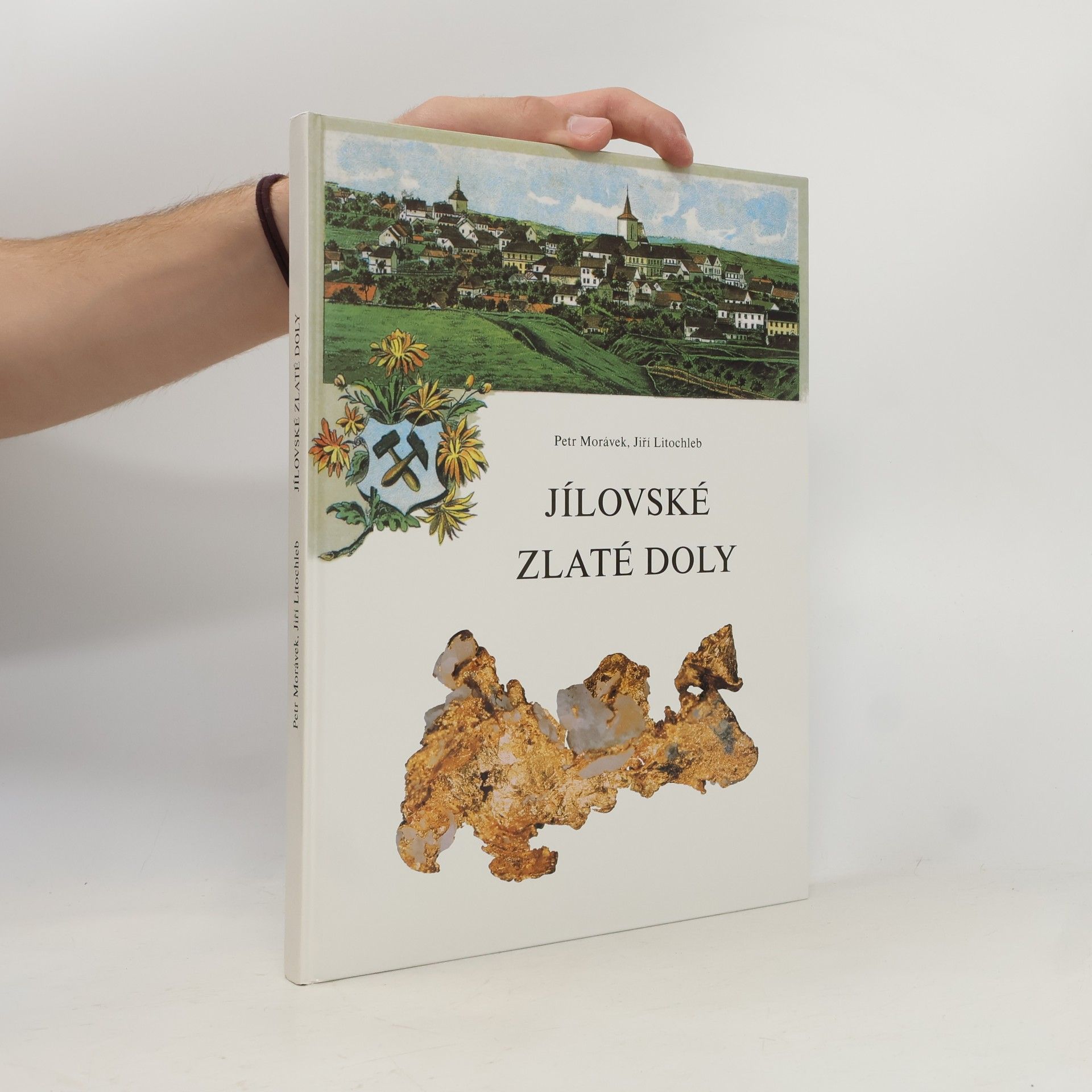 Jiří Litochleb Jílovské zlaté doly