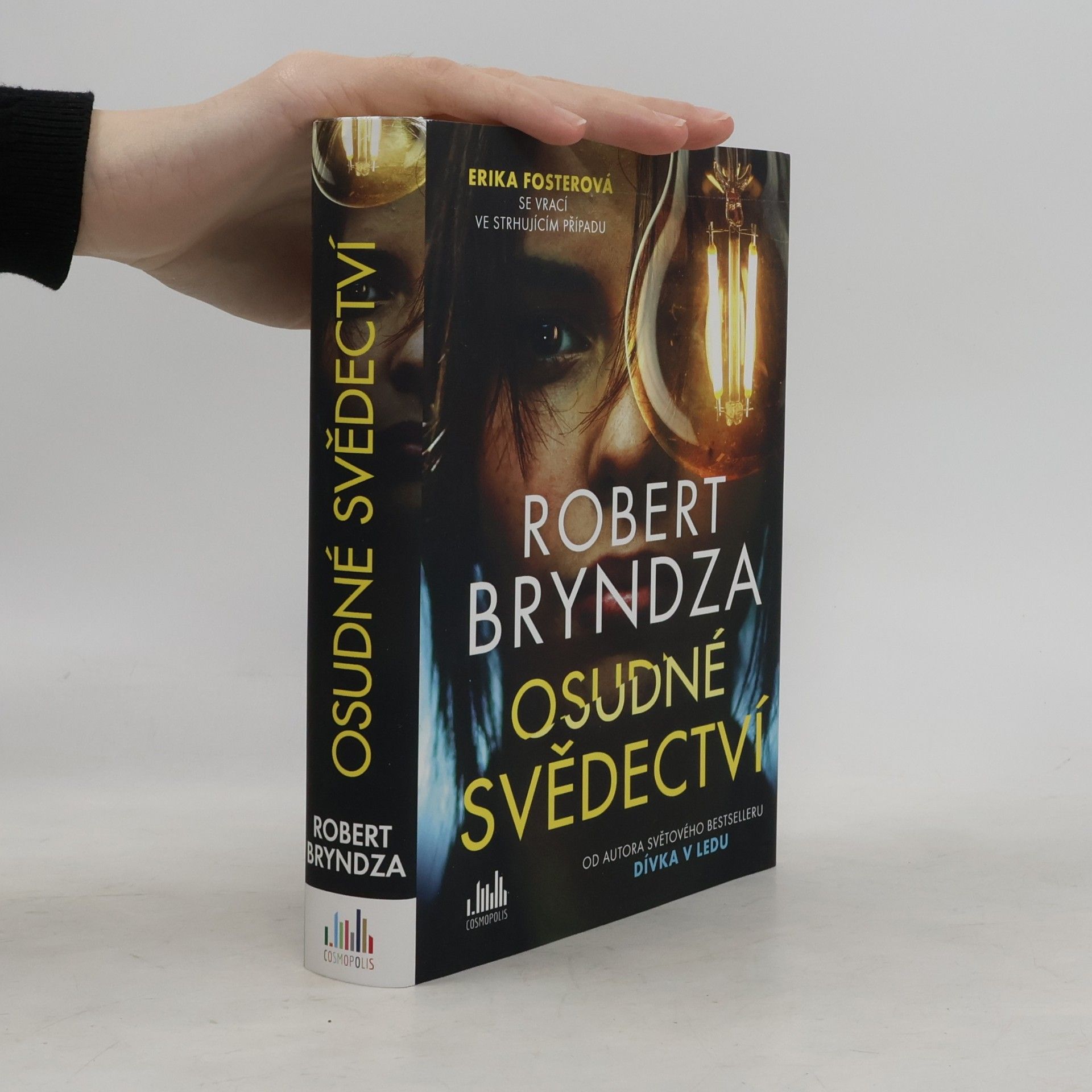 Robert Bryndza Osudné svědectví