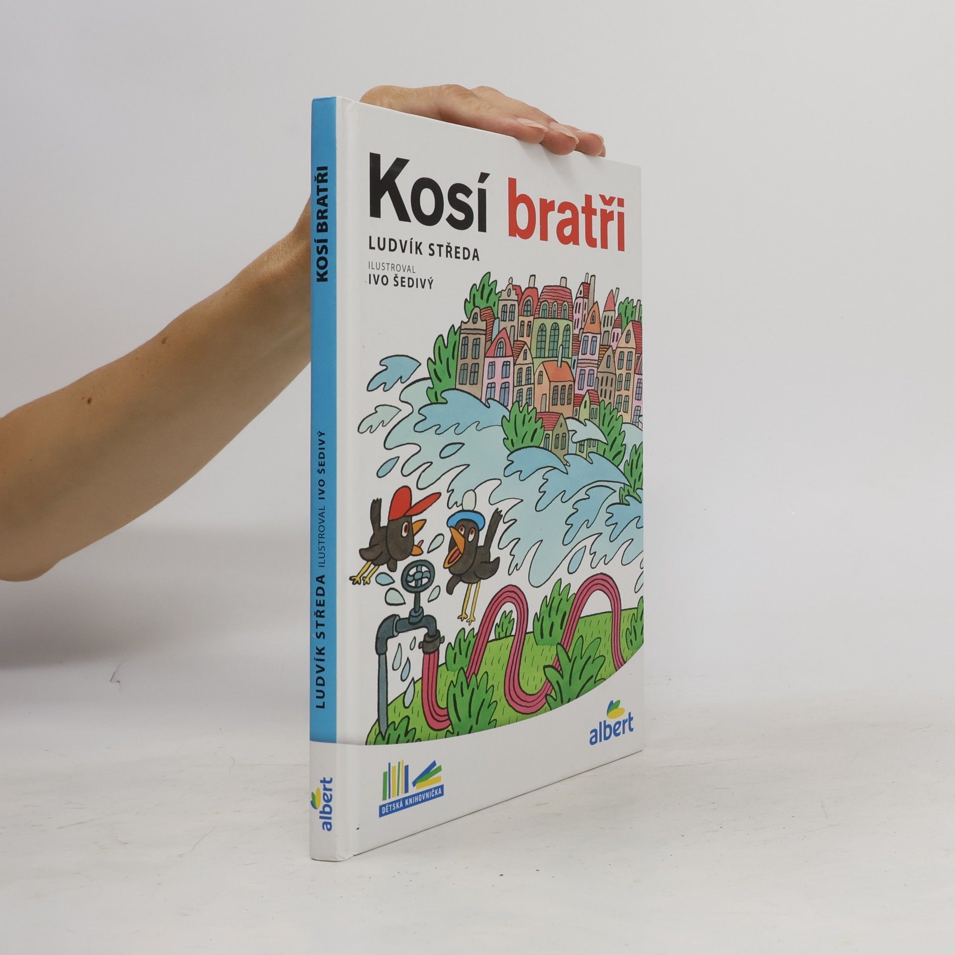 Ludvík Středa Kosí bratři