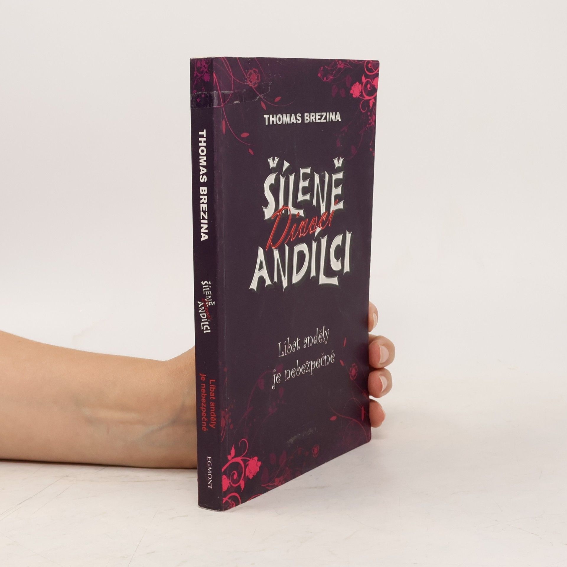 Thomas Brezina Šíleně divocí andílci. Líbat anděly je nebezpečné