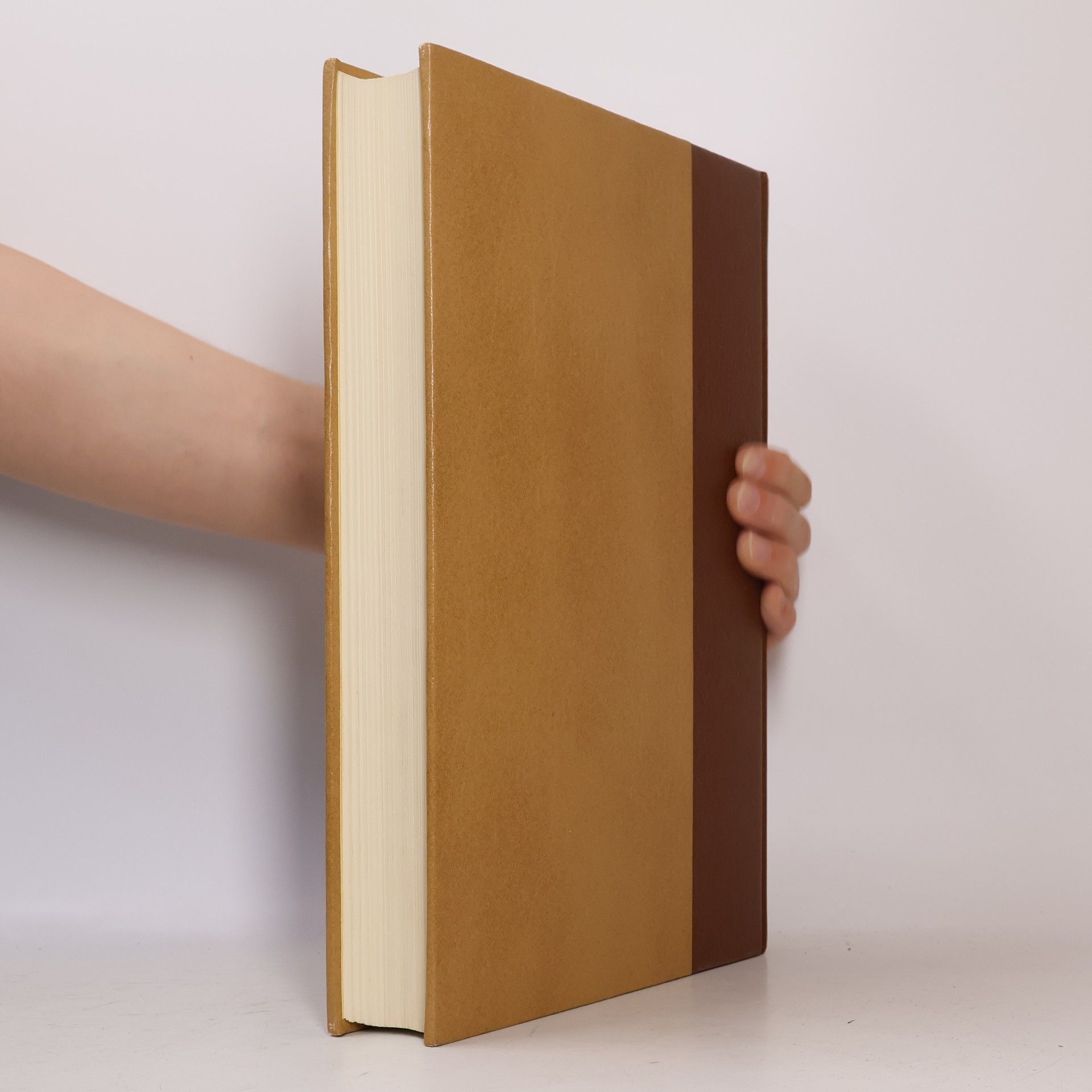 AA.VV. Enciclopedia Motta VI