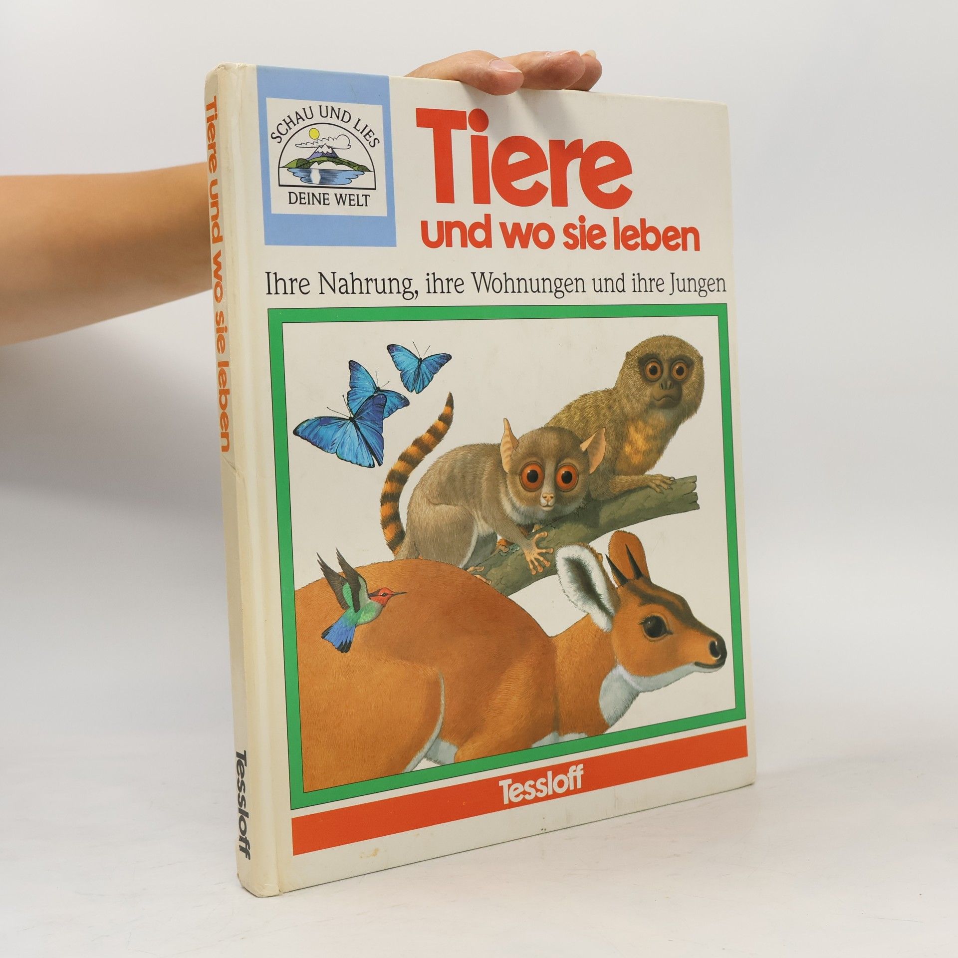 Angel Wilkes Tiere und wo sie leben