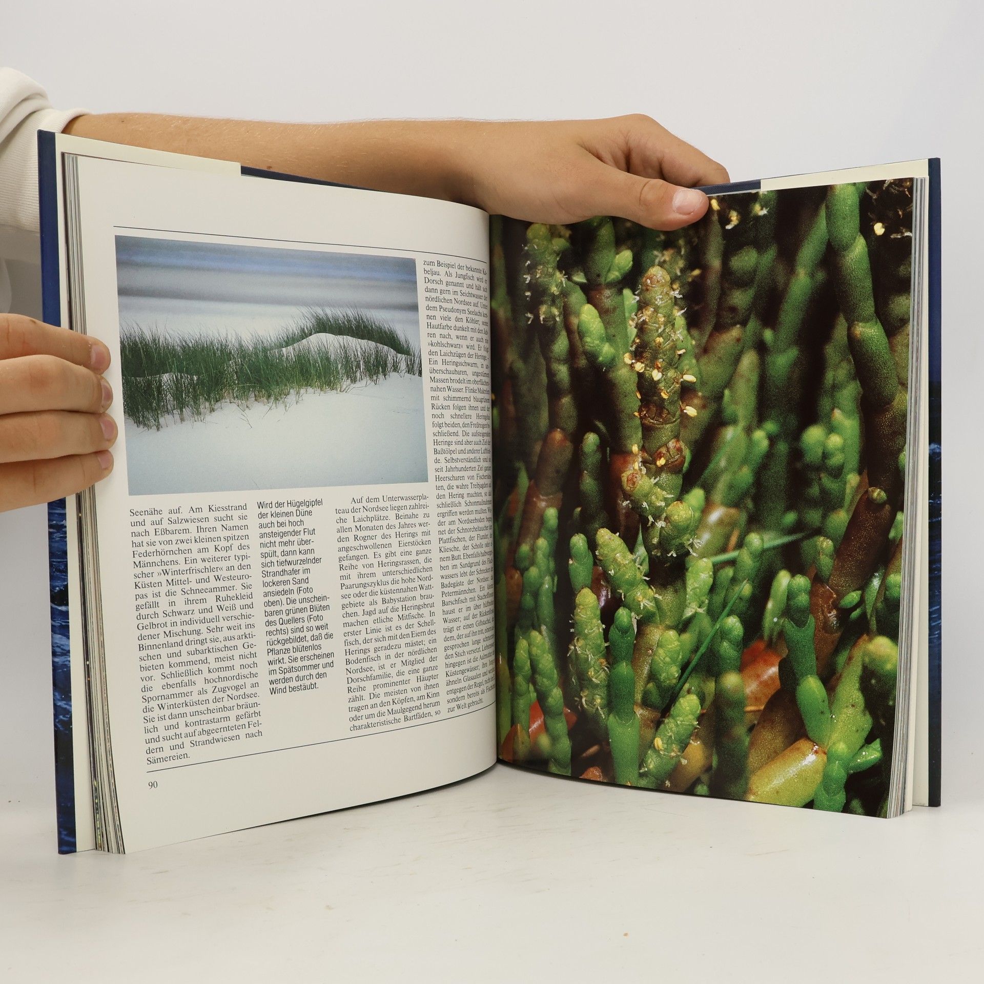 Various authors Wunder Zwischen Land Und Meer