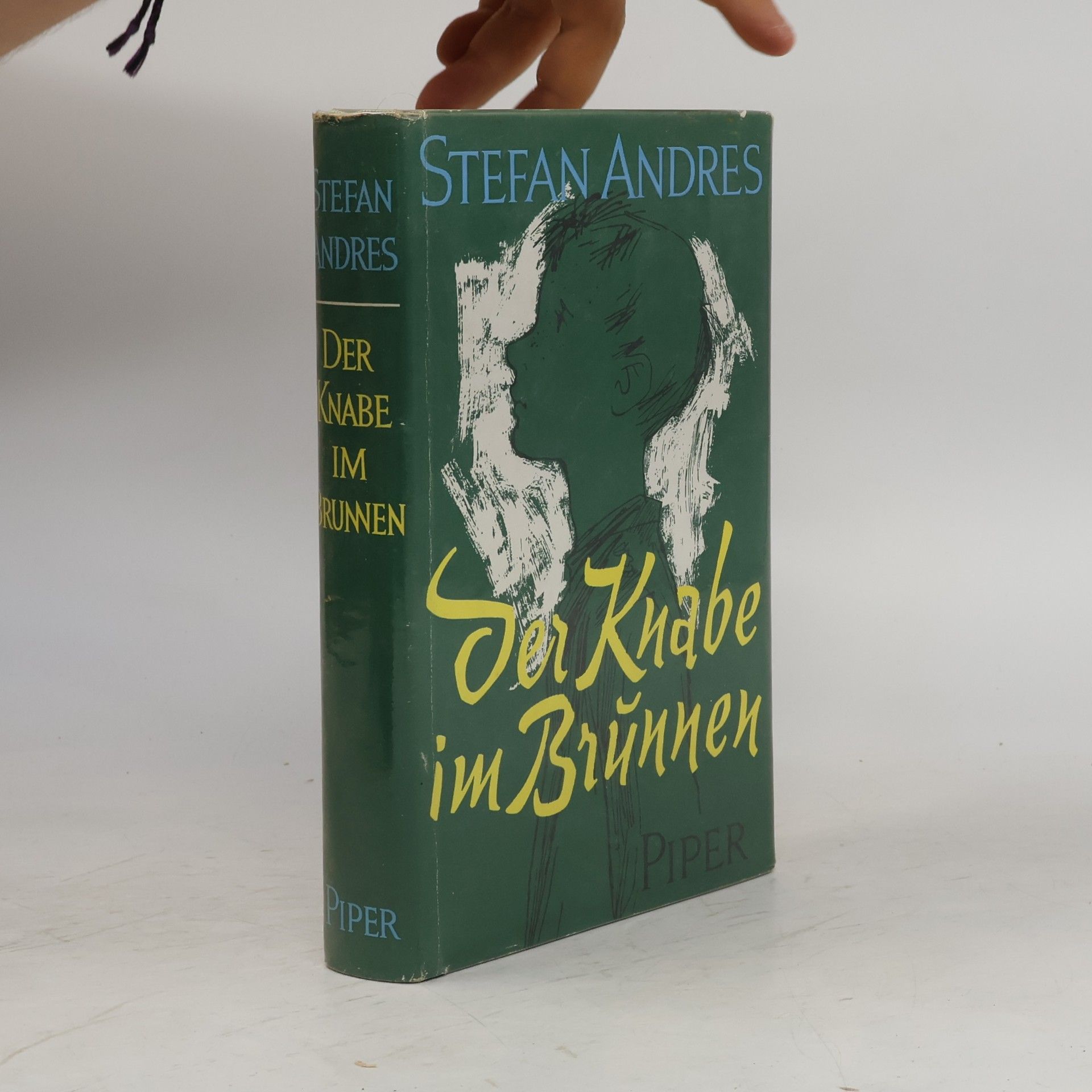 Stefan Andres Der Knabe im Brunnen