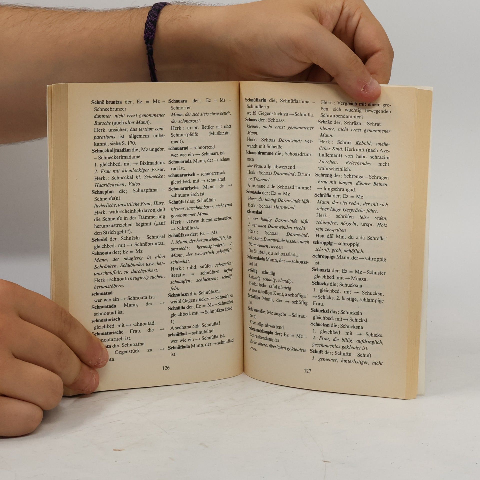 Reinhold Aman Bayrisch-österreichisches Schimpfwörterbuch