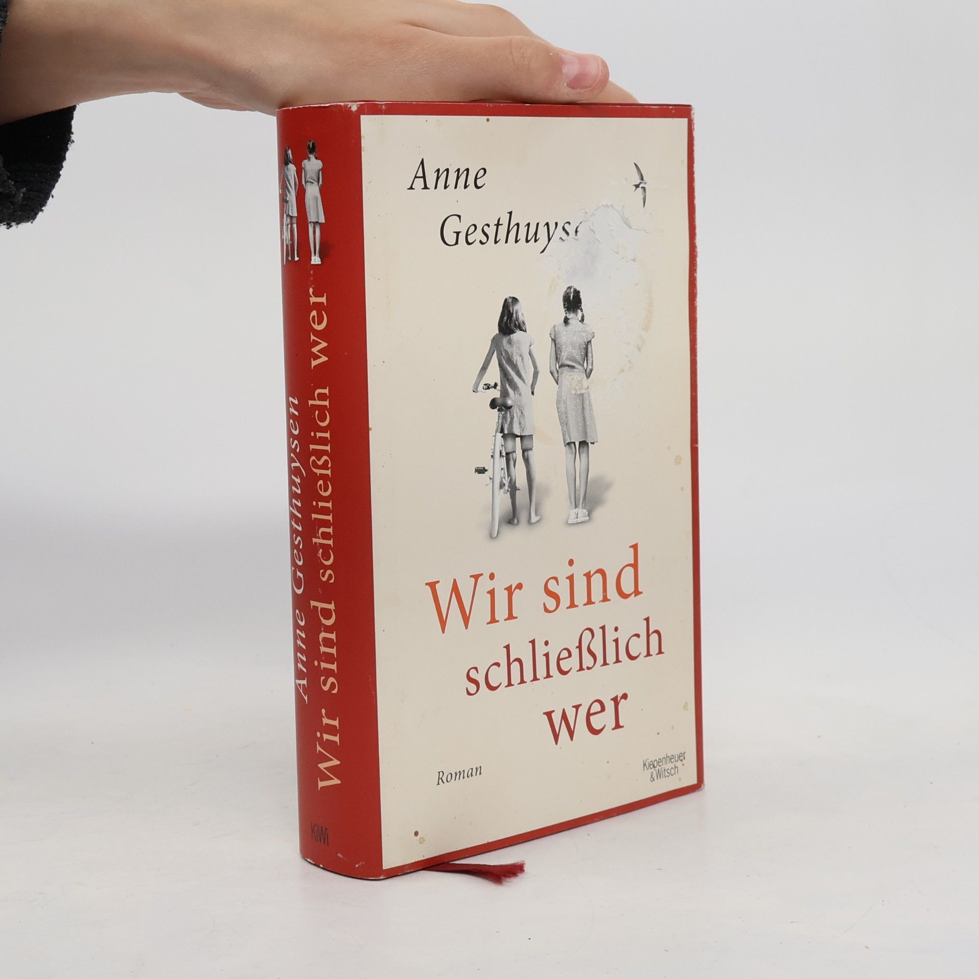 Anne Gesthuysen Wir sind schließlich wer