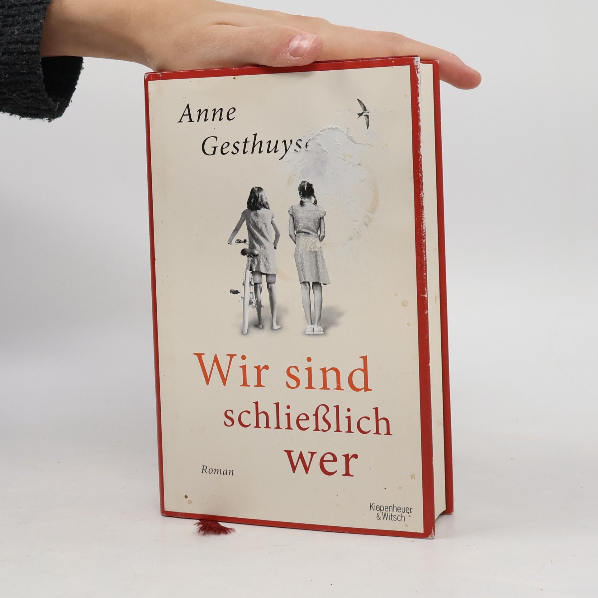 Anne Gesthuysen Wir sind schließlich wer
