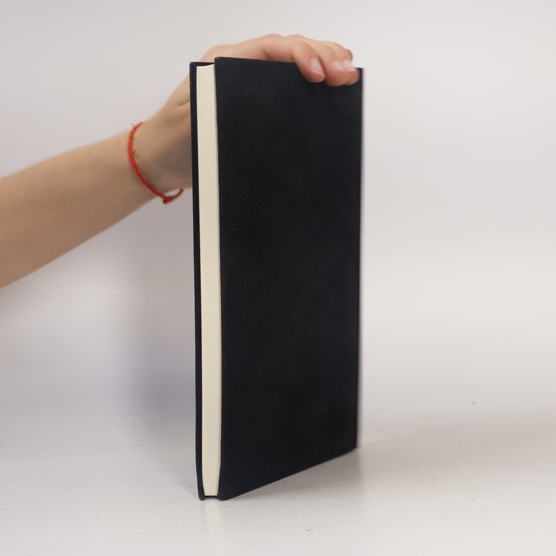 Hans Magnus Enzensberger Josefine und Ich