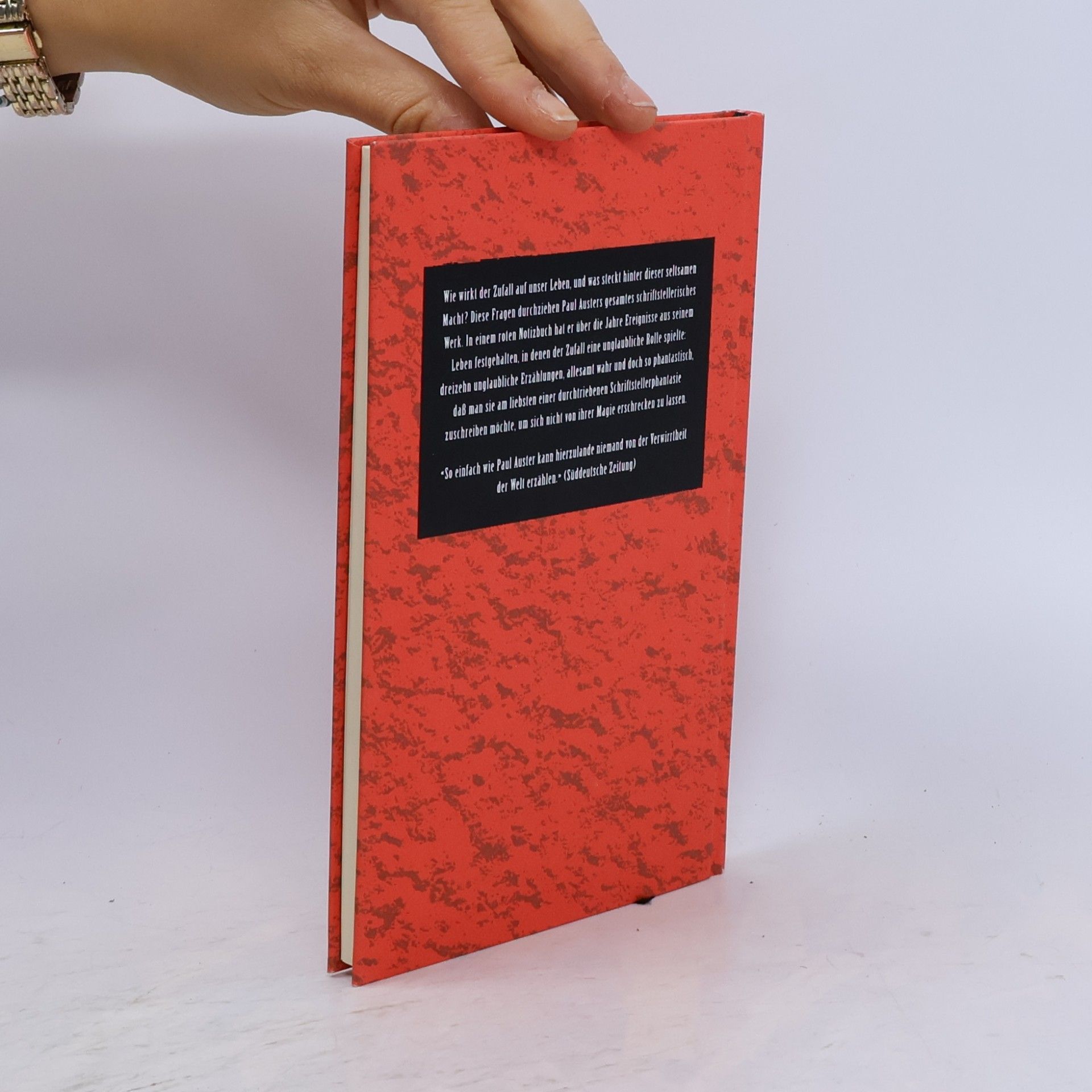 Paul Auster Das rote Notizbuch