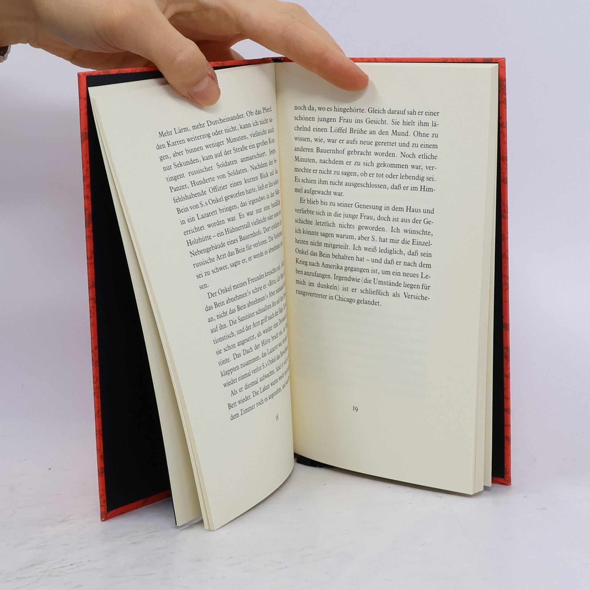 Paul Auster Das rote Notizbuch