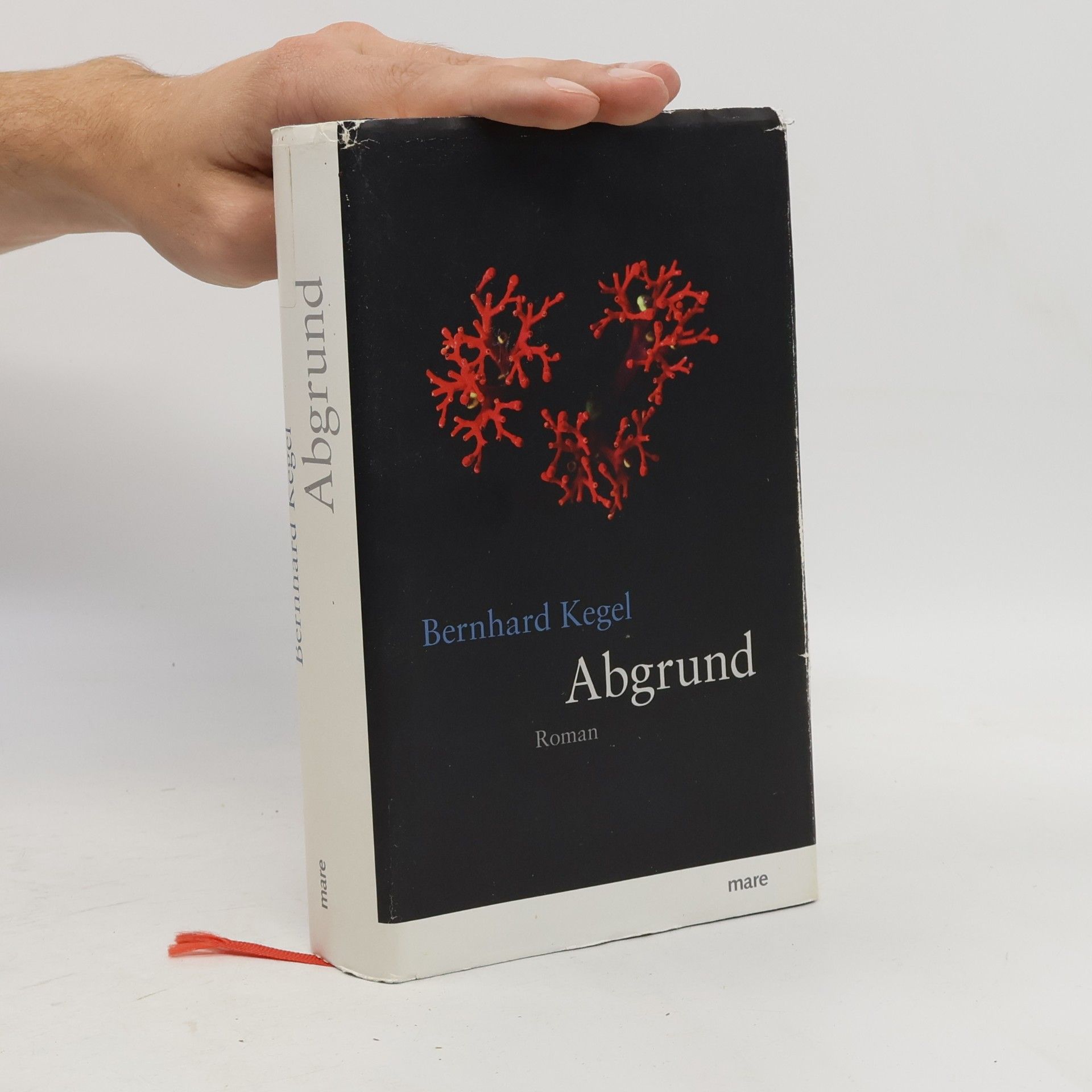 Bernhard Kegel Abgrund