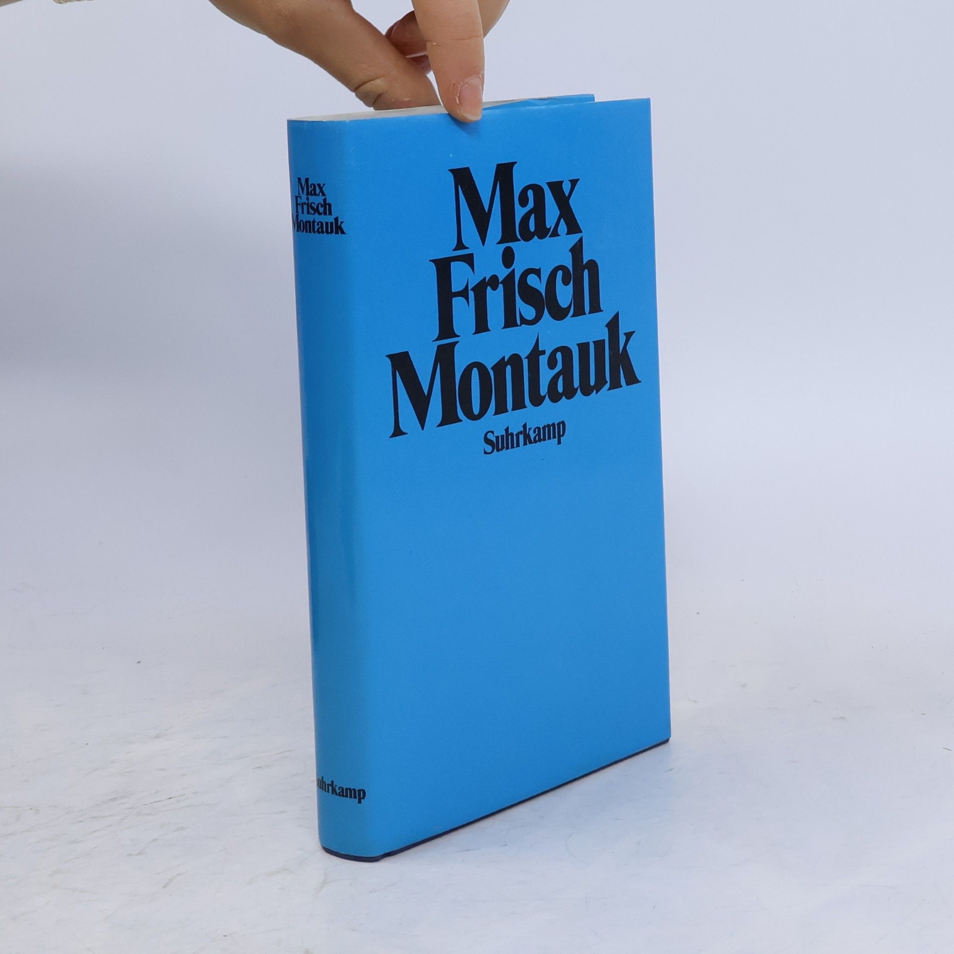 Max Frisch Montauk