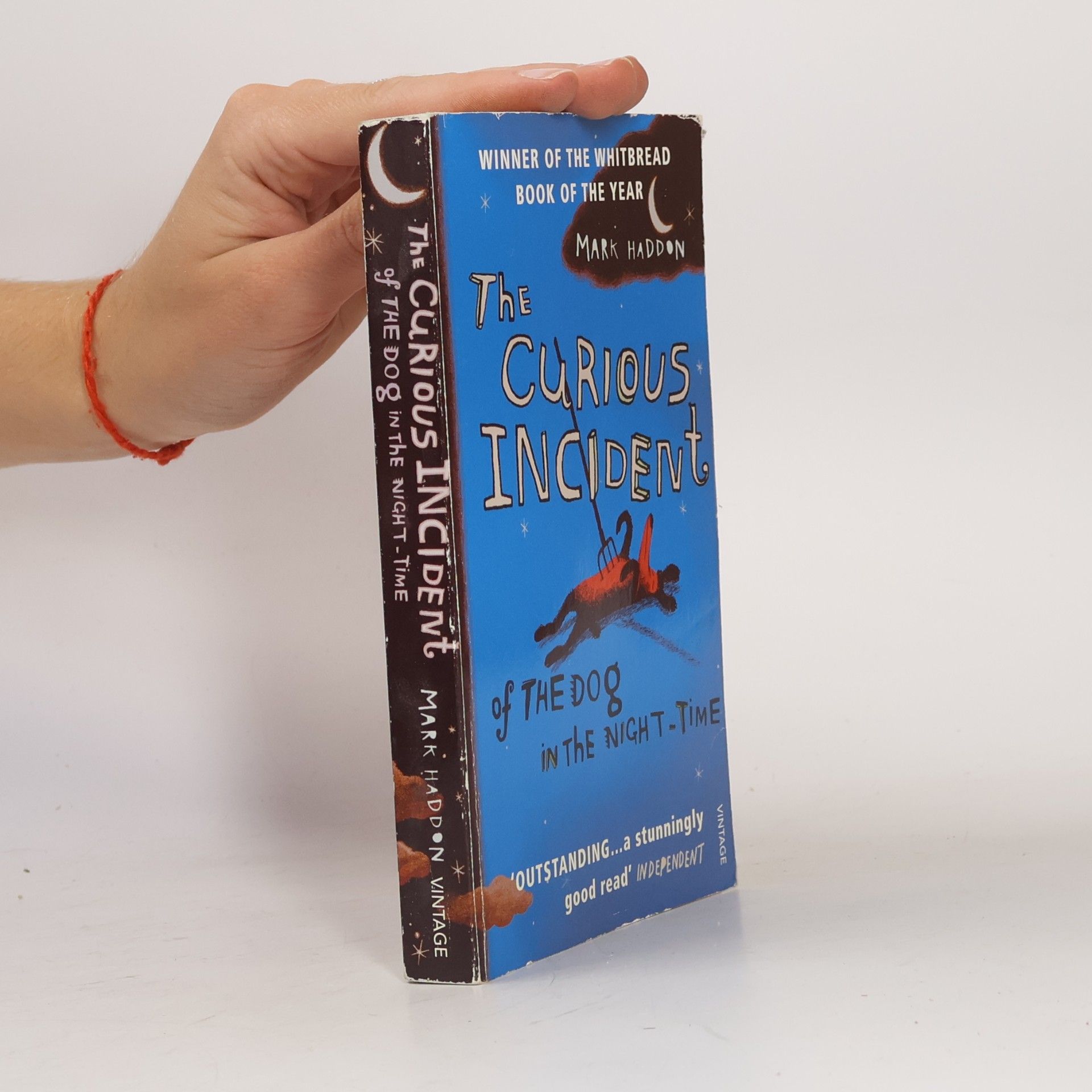 The Curious Incident of The Dog in The Night-Time