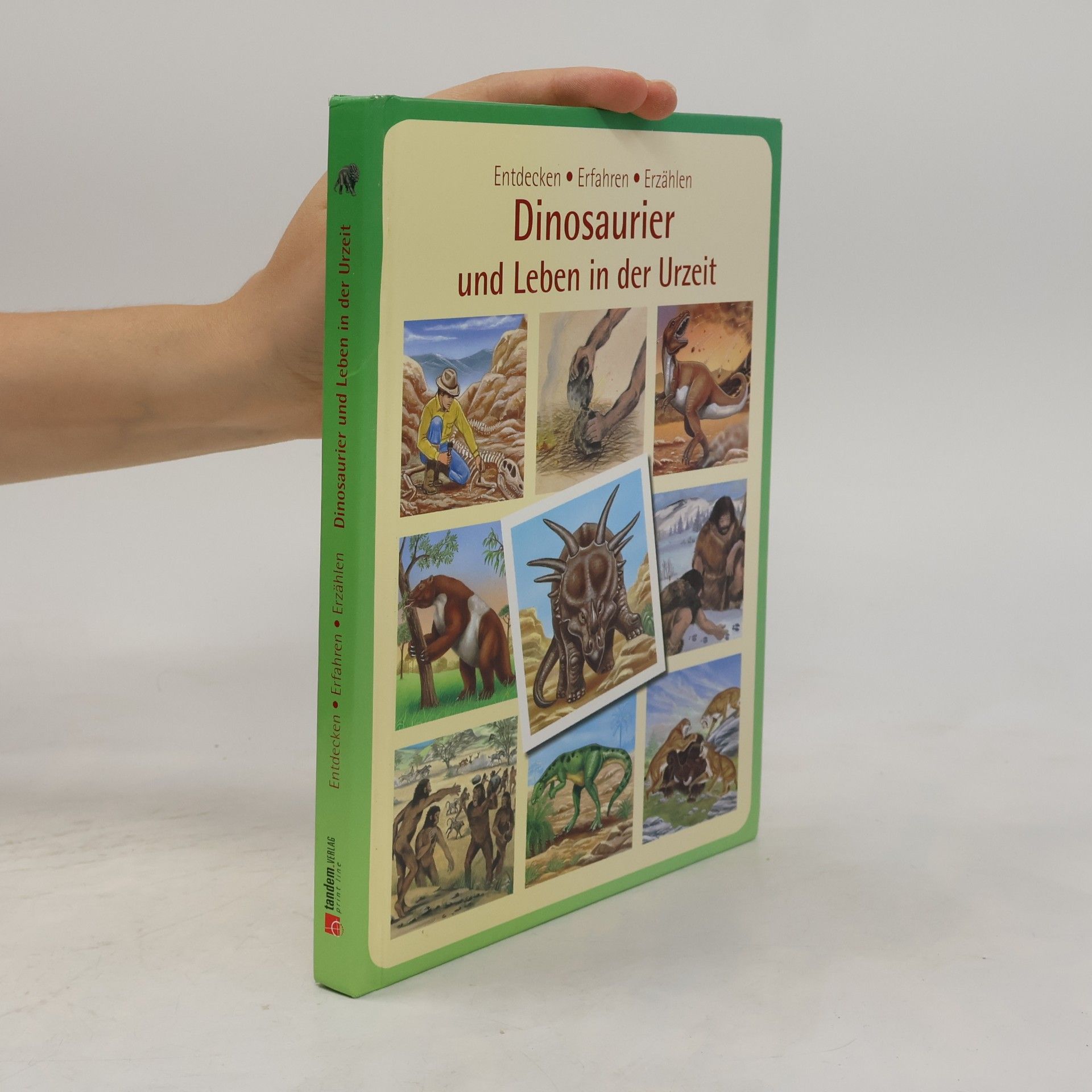 Collectif d'auteurs Dinosaurier und Leben in der Urzeit