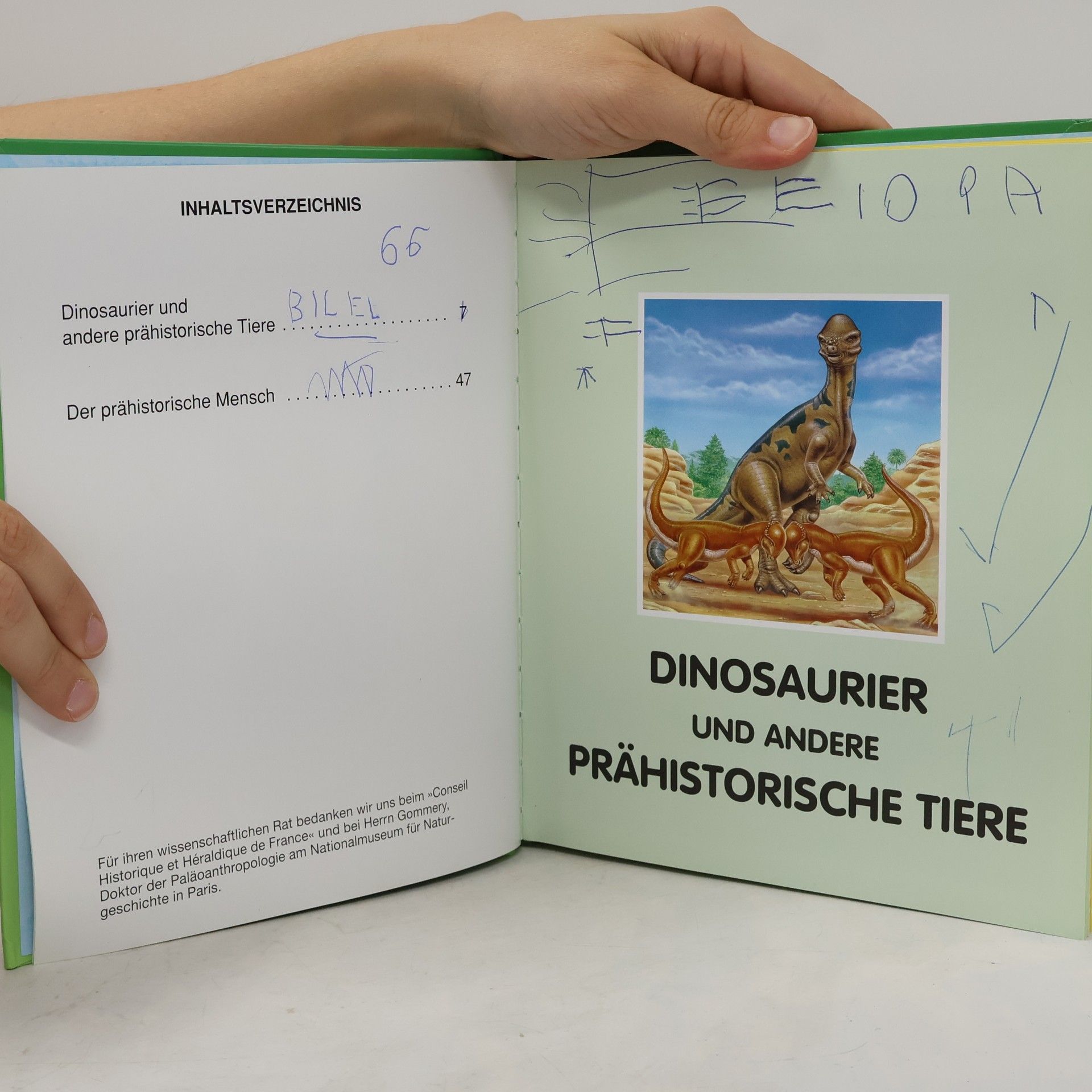 Collectif d'auteurs Dinosaurier und Leben in der Urzeit