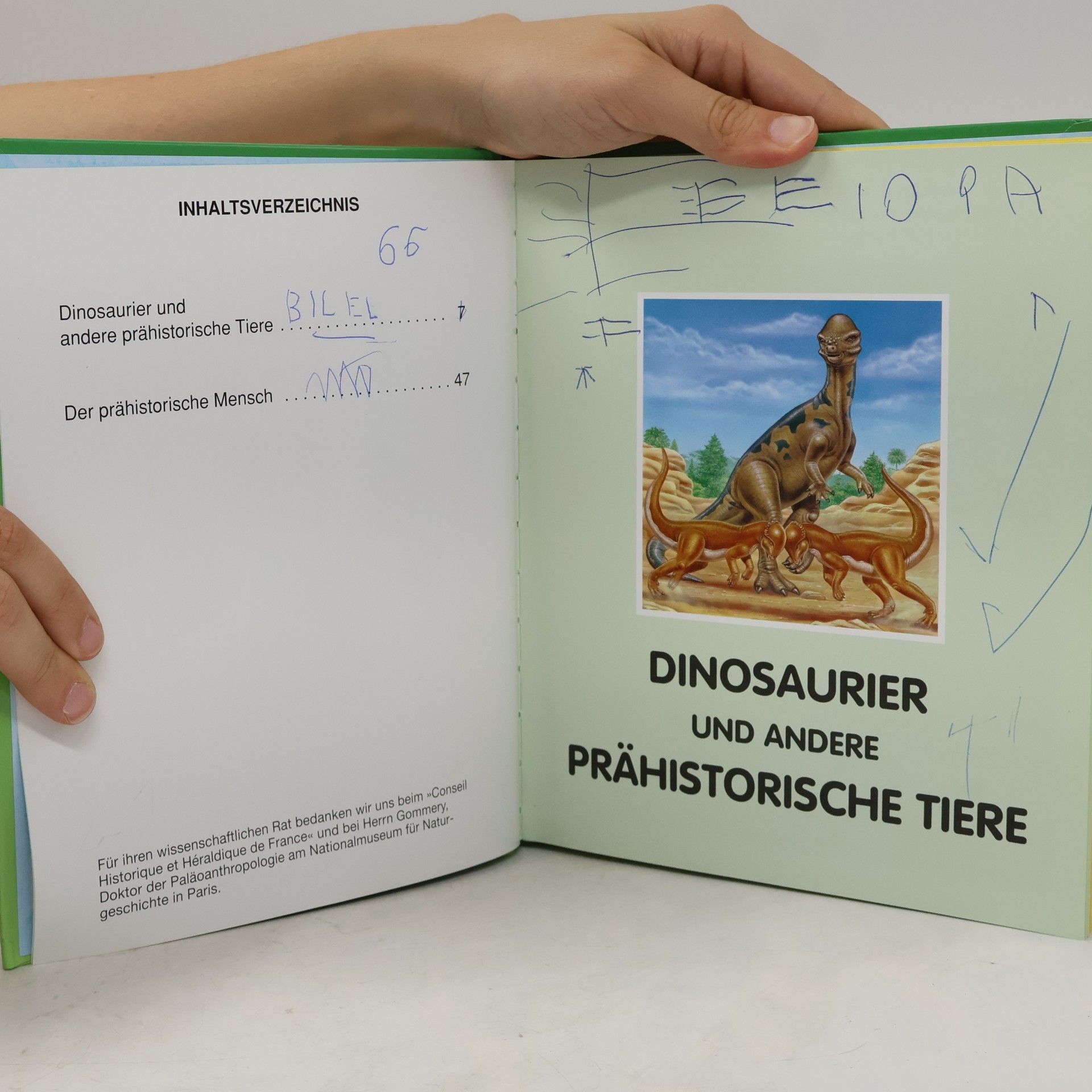 Collectif d'auteurs Dinosaurier und Leben in der Urzeit