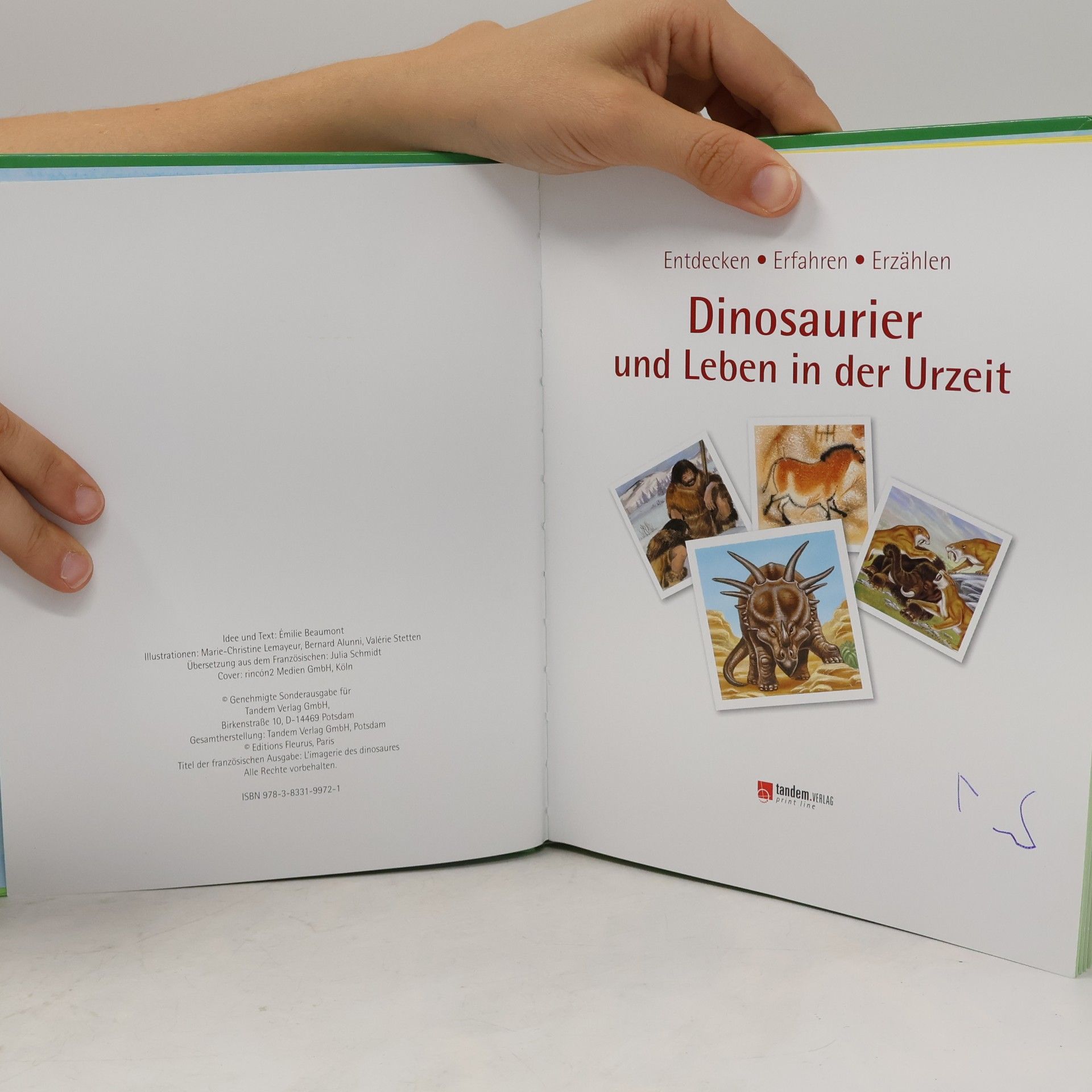 Collectif d'auteurs Dinosaurier und Leben in der Urzeit