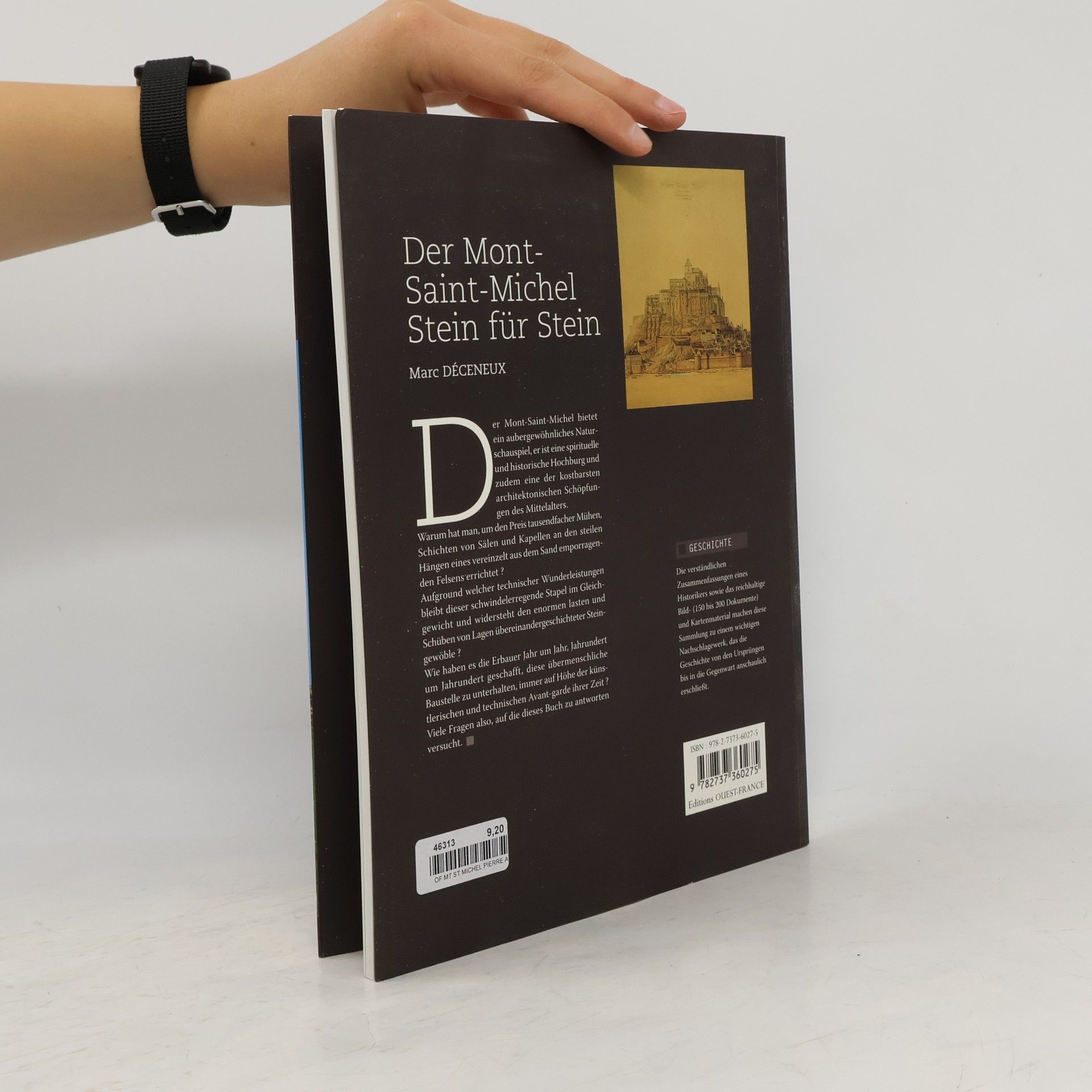 Levak, Maria-Luisa Der Mont-Saint-Michel Stein für Stein - Deutsch
