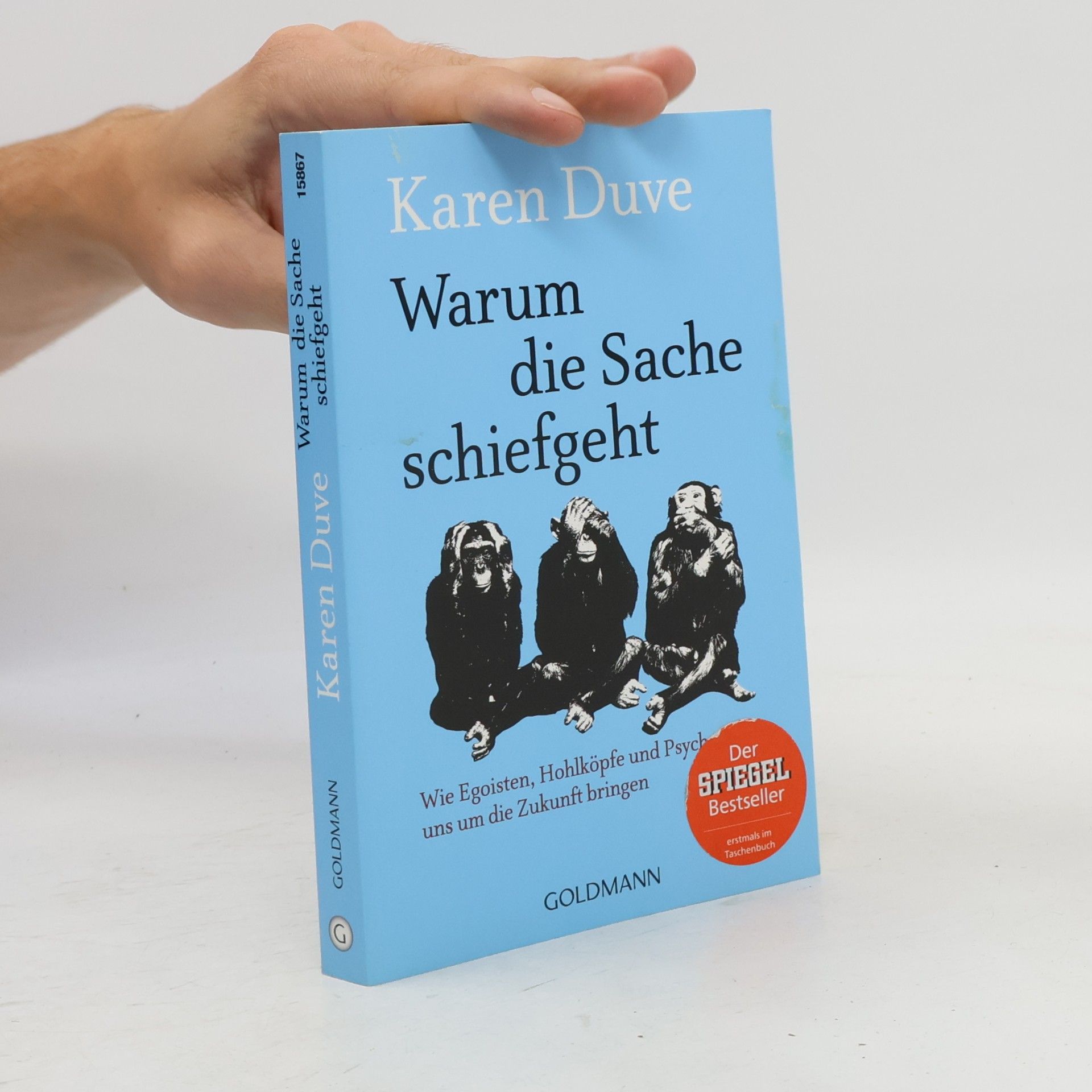 Karen Duve Warum die Sache schiefgeht
