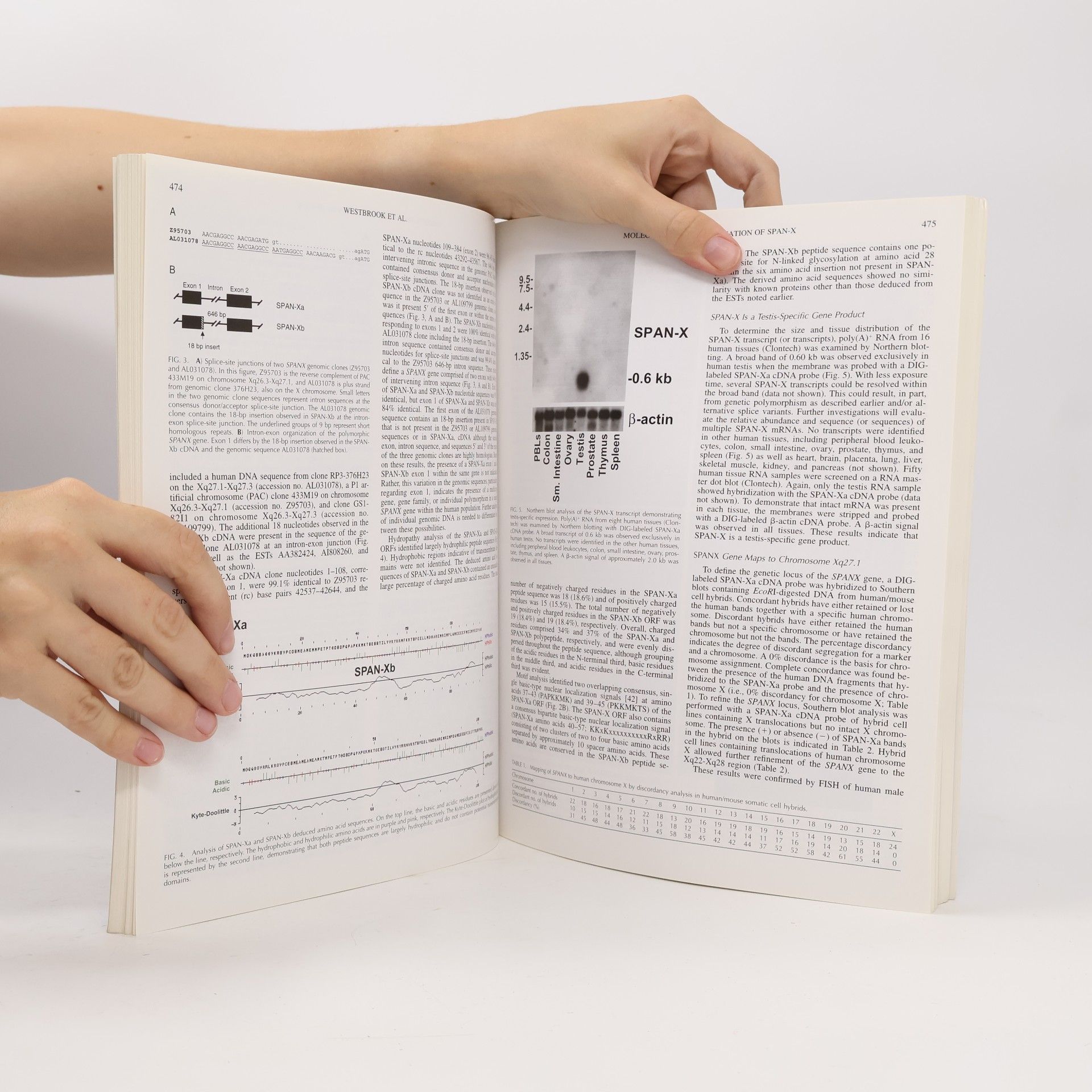 Various authors Biology of Reproduction 2000 Vol. 63 N 2