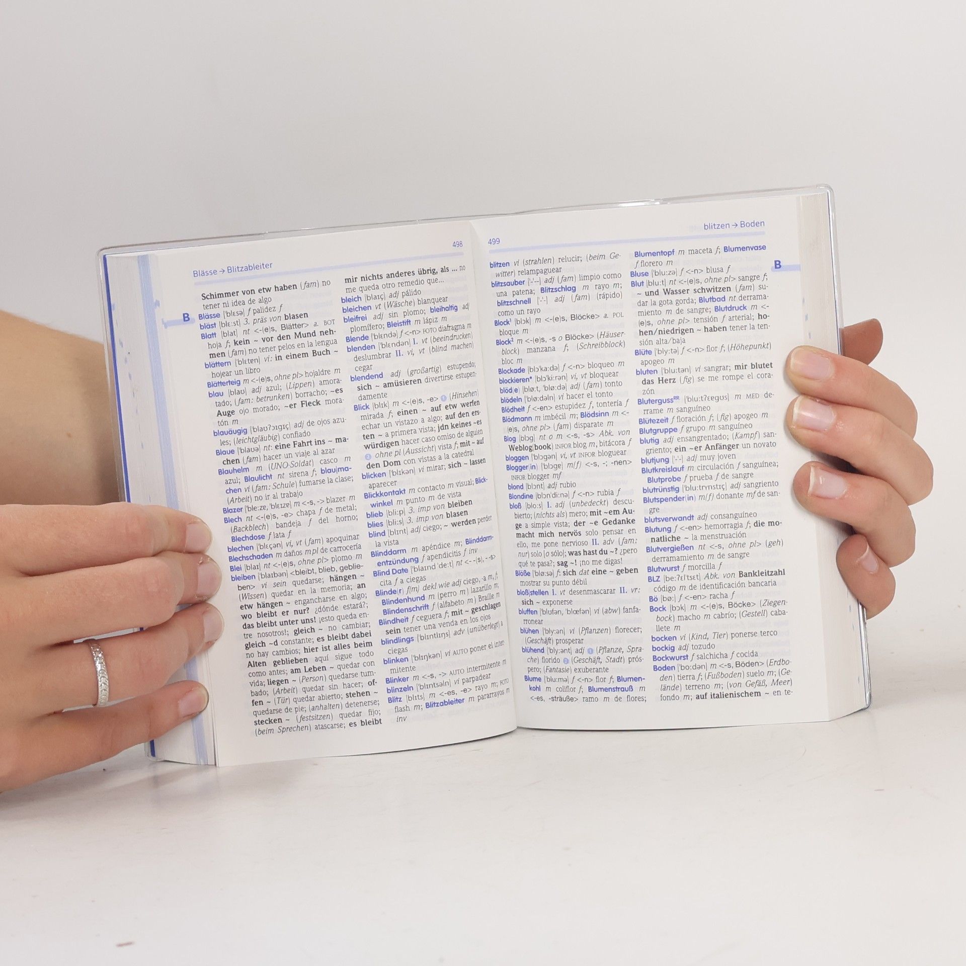 Basiswörterbuch Spanisch