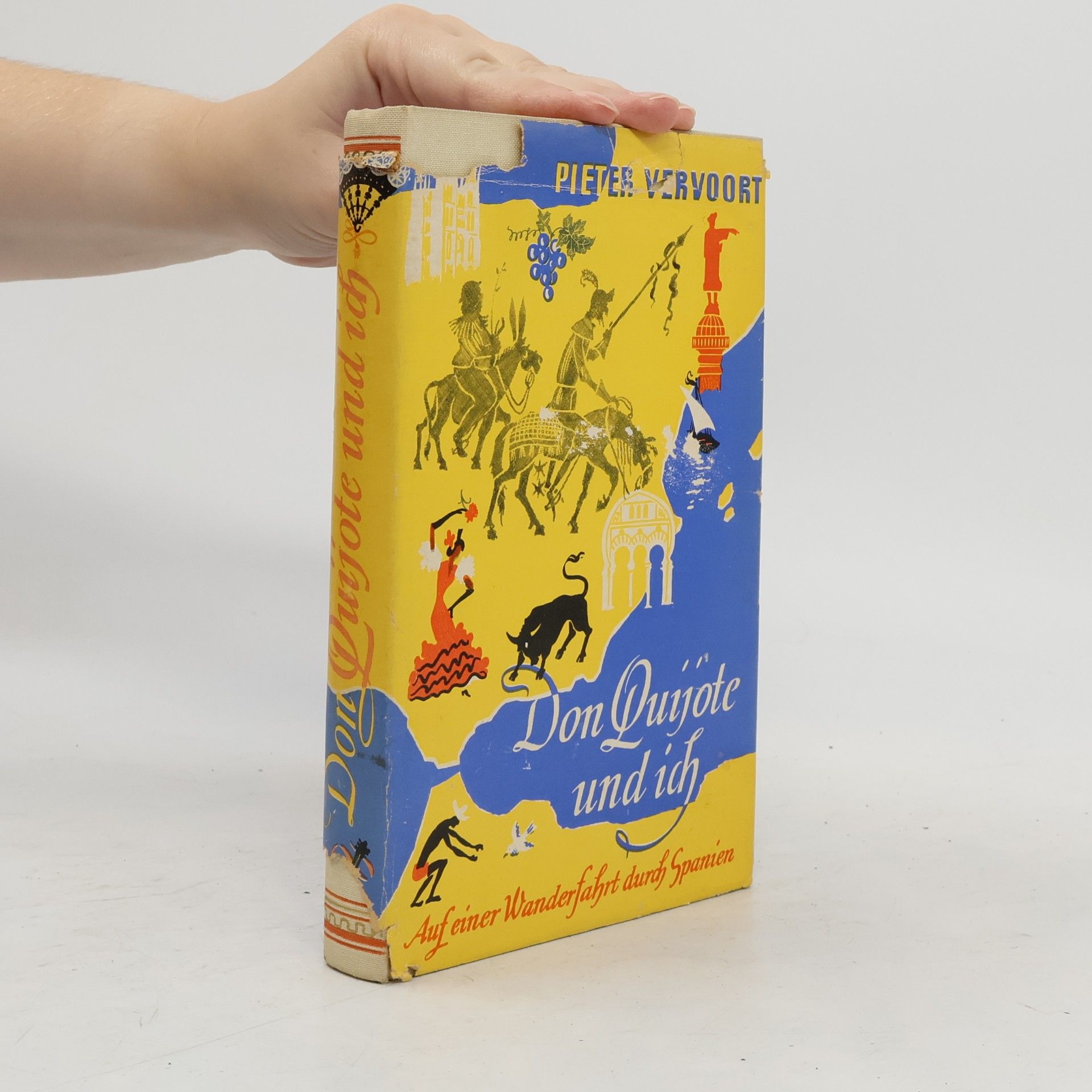 Pieter Vervoort Don Quijote und ich