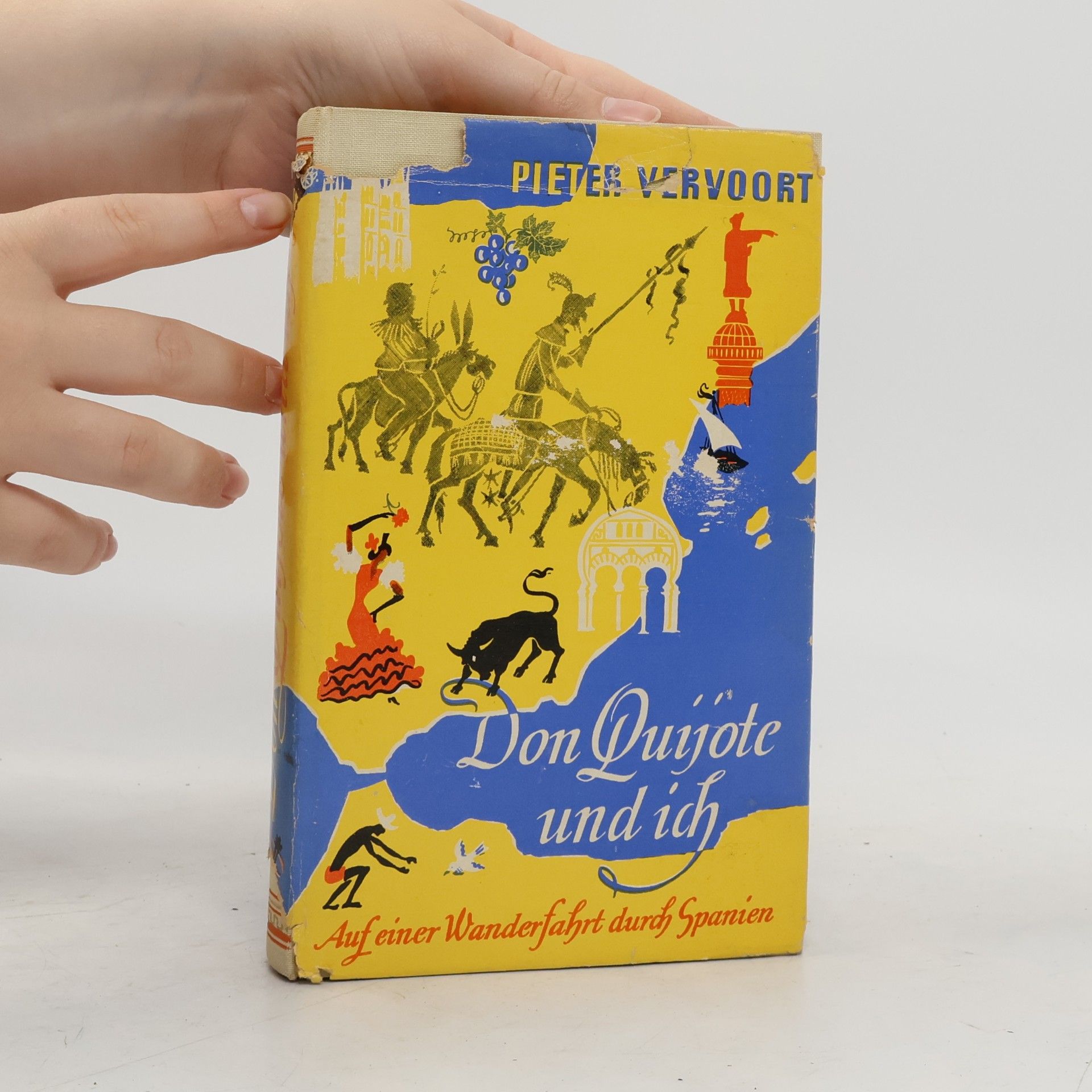 Pieter Vervoort Don Quijote und ich
