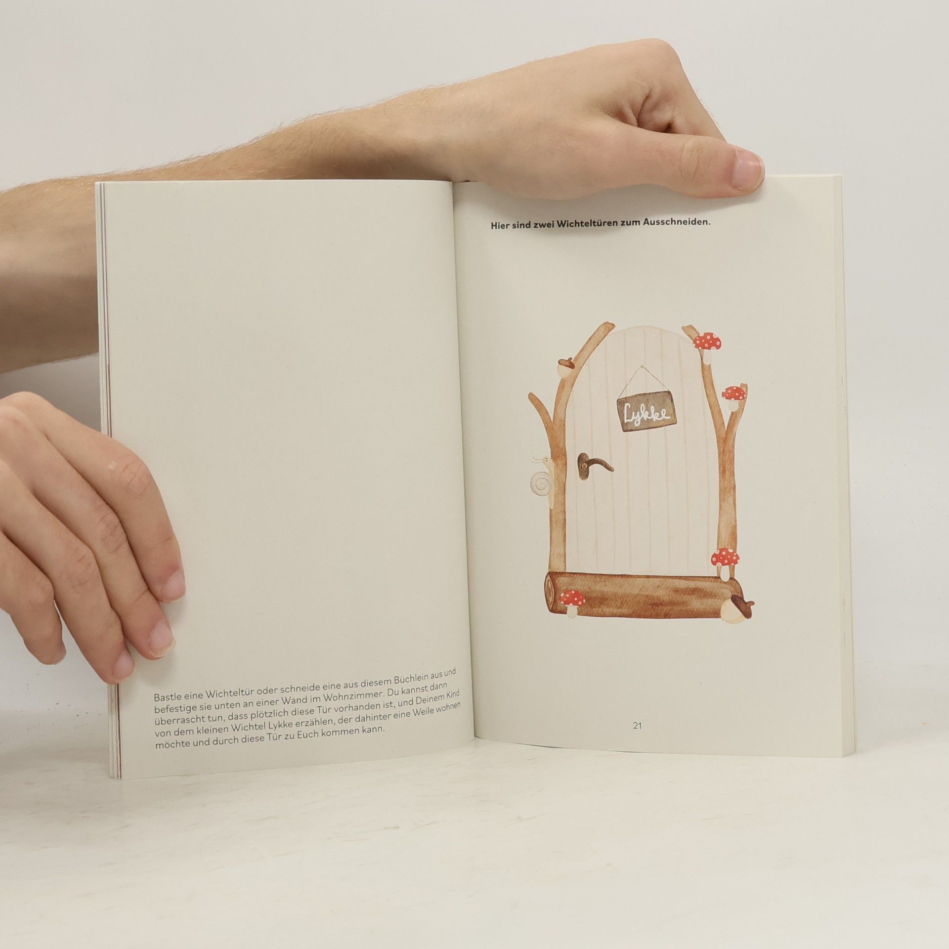Florian Fickel Der Wichtel Lykke