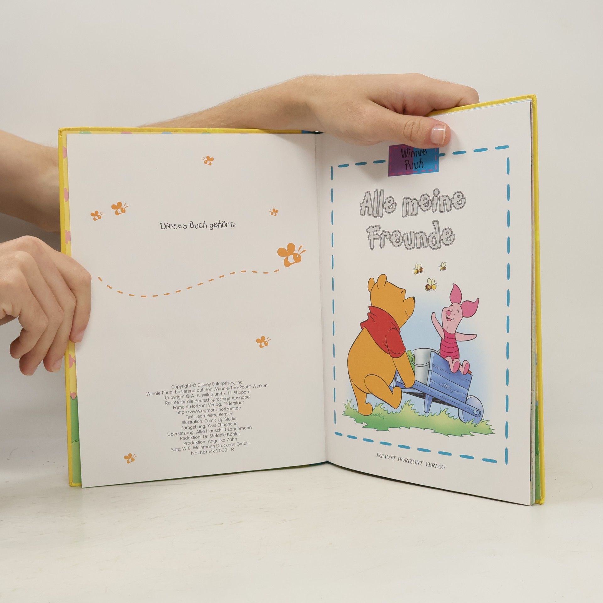Autorenkollektiv Winnie Puuh: Alle meine Freunde