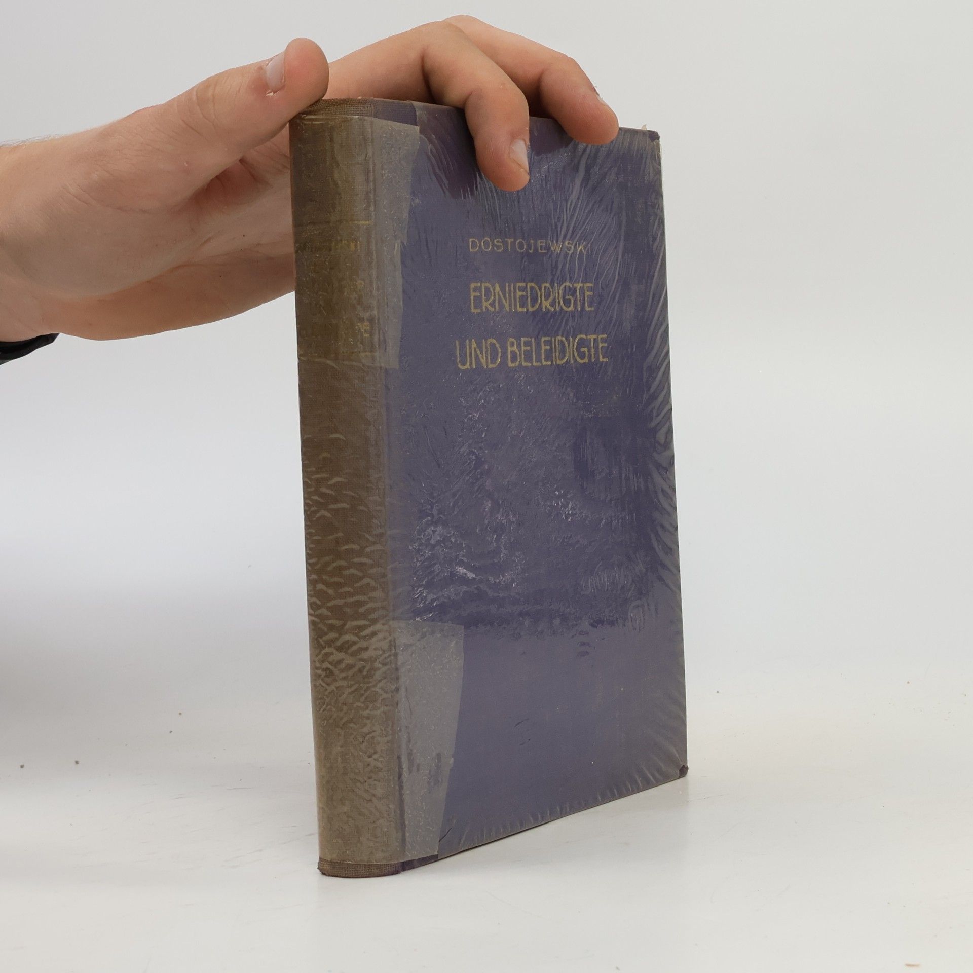 Fjodor Michajlovič Dostojevskij Erniedrigte und Beleidigte