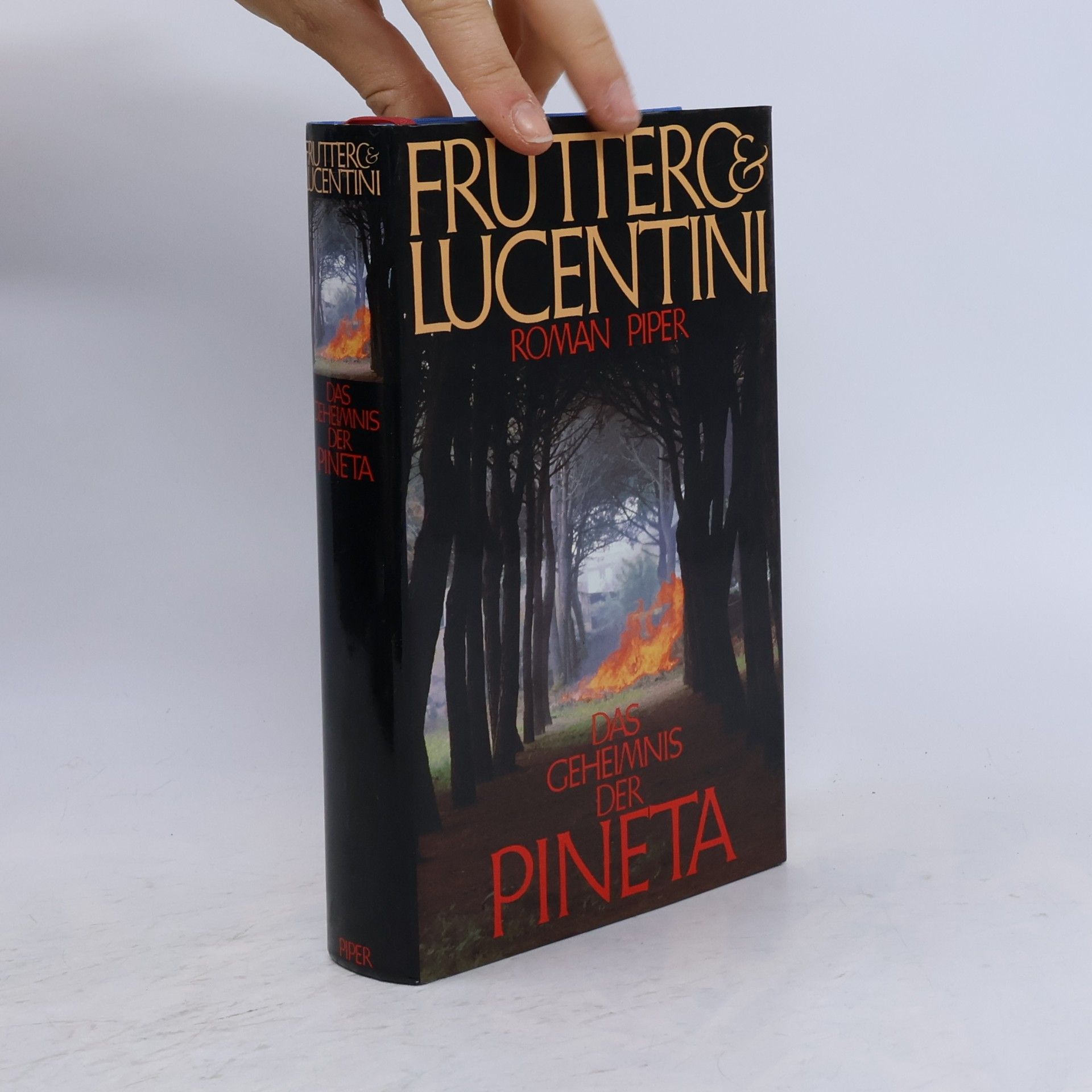 Carlo Fruttero Das Geheimnis der Pineta