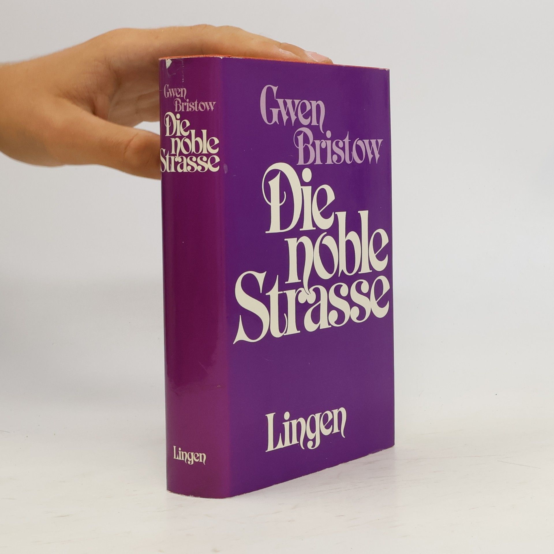 Carl Mathias Fischer Die noble Strasse