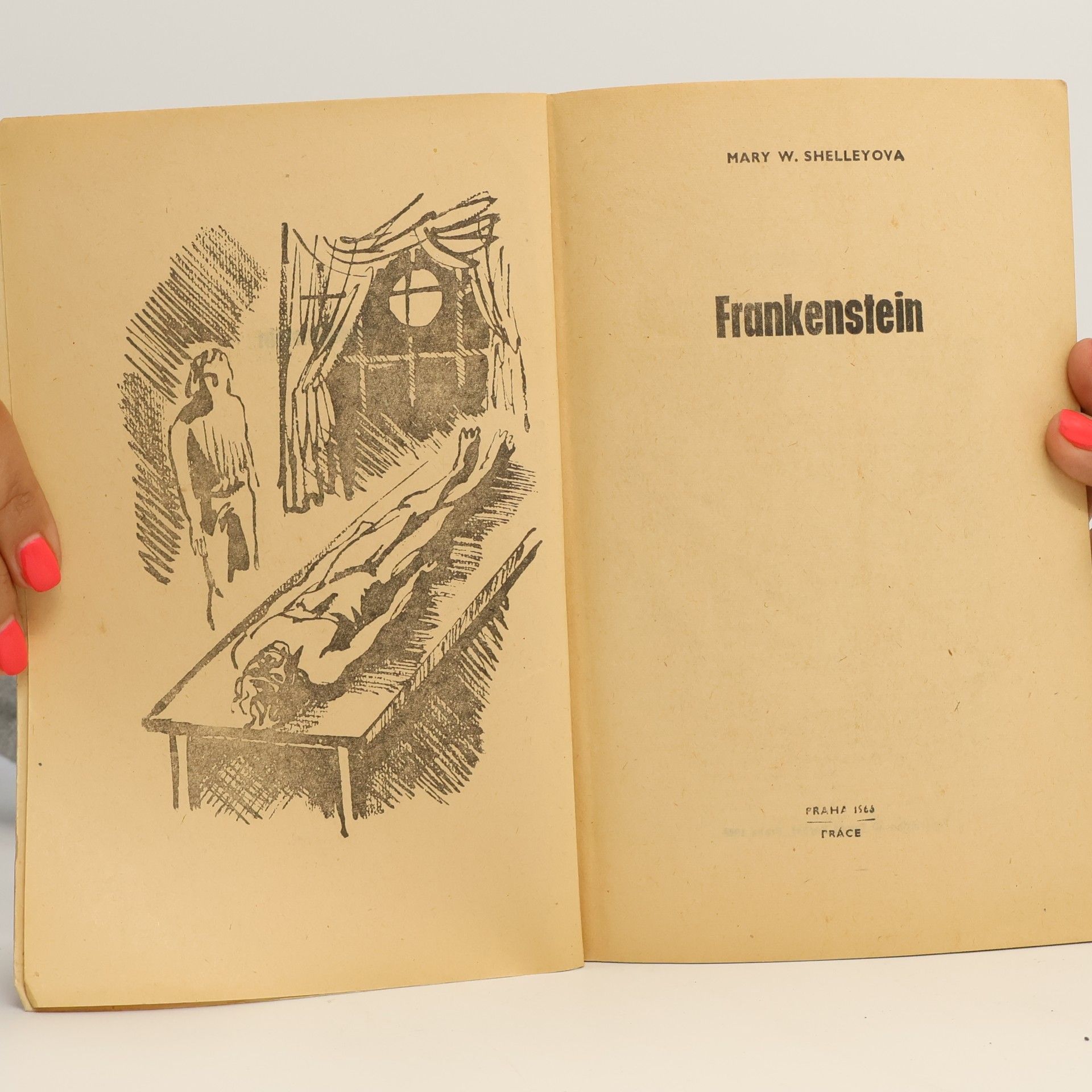 Mary Shelley Frankenstein