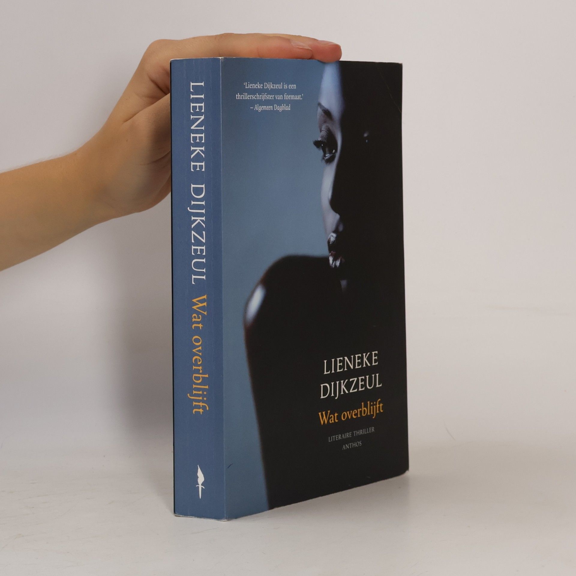 Lieneke Dijkzeul Wat overblijft