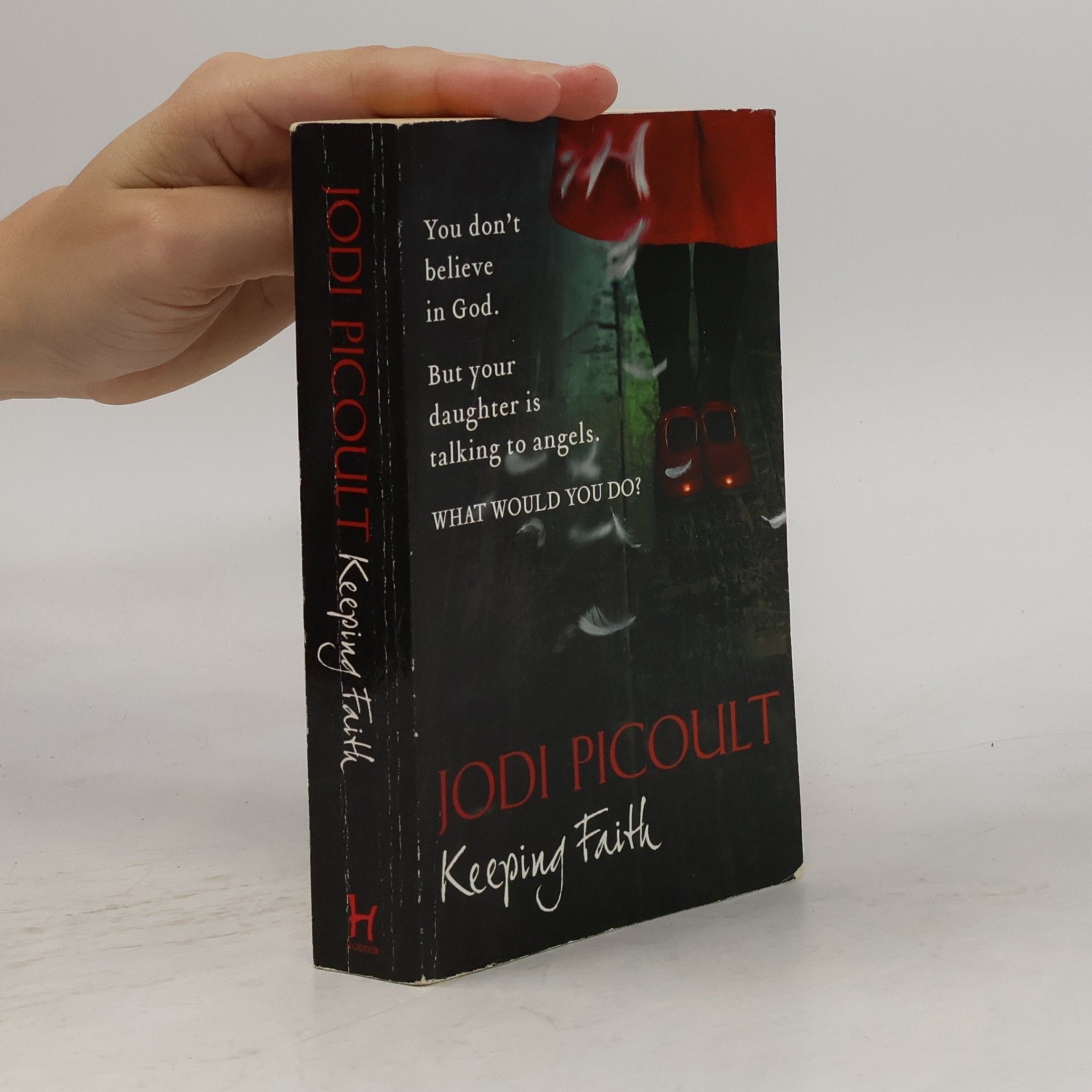 Jodi Picoult Keeping Faith
