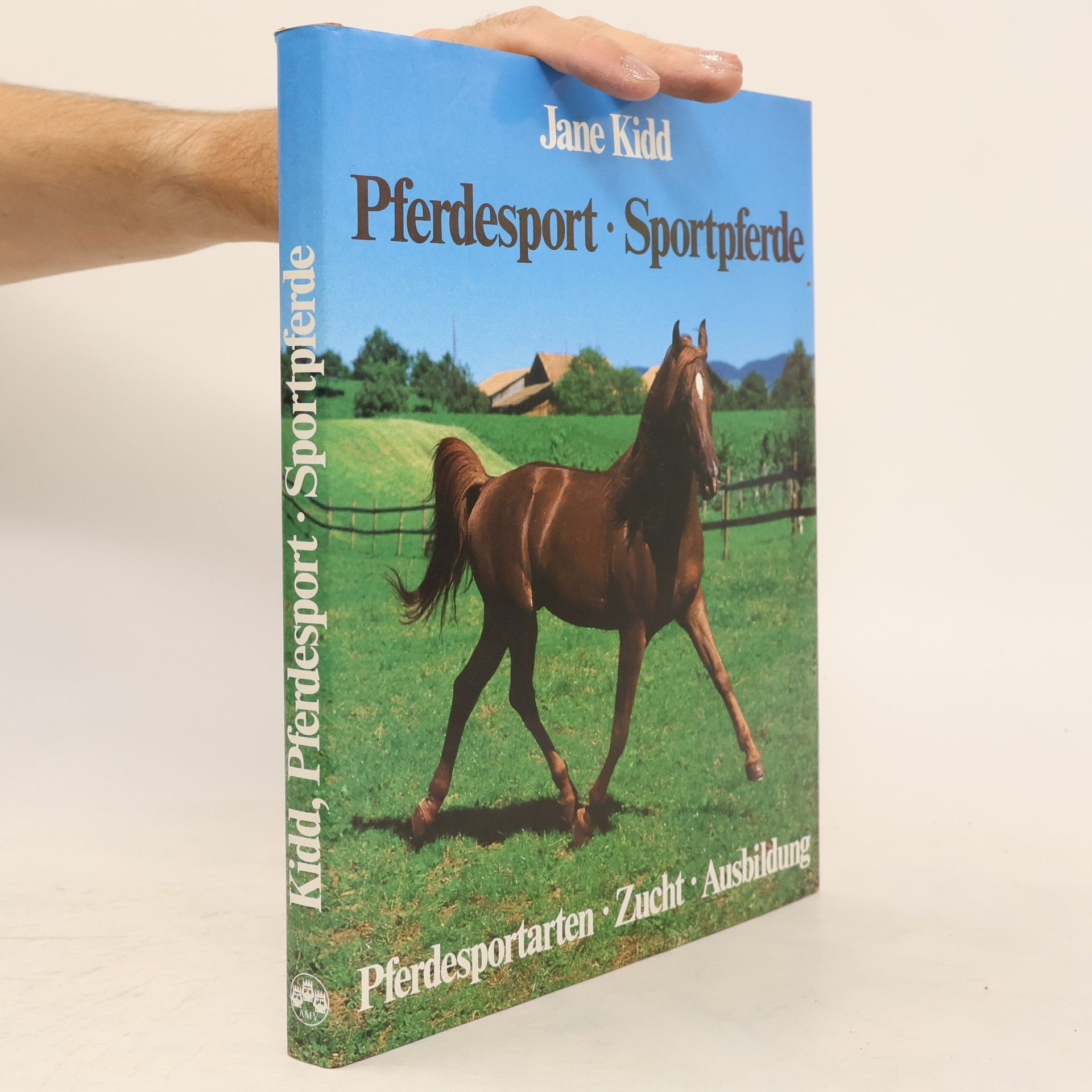 Jane Kidd Pferdesport - Sportpferde