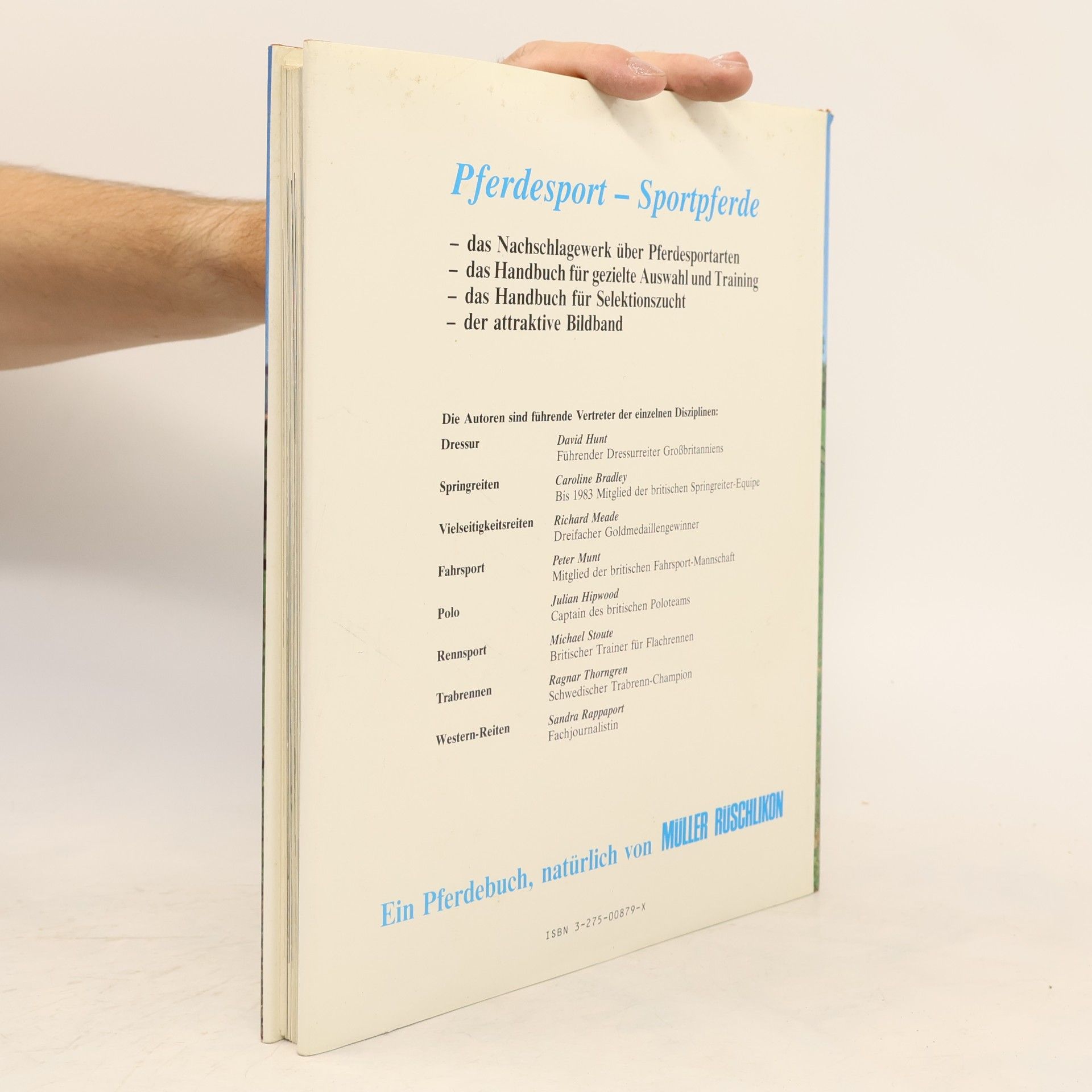 Jane Kidd Pferdesport - Sportpferde