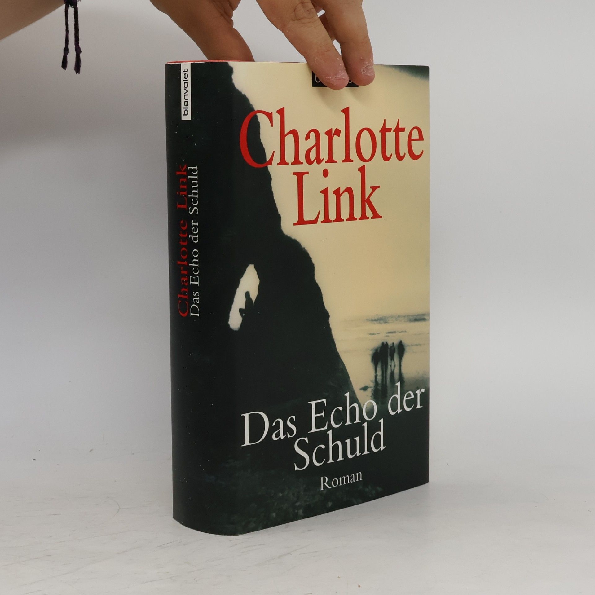 Charlotte Link Das Echo der Schuld