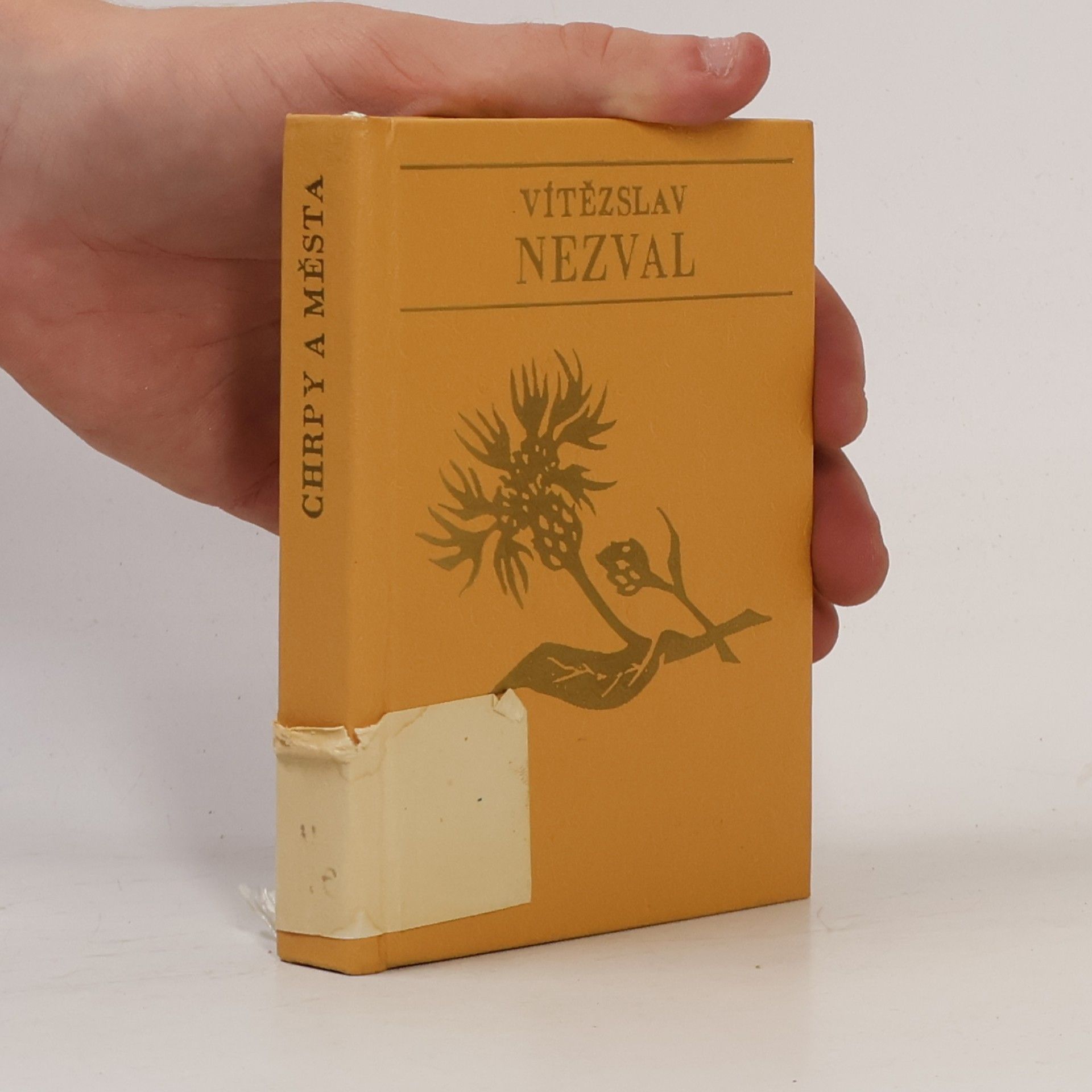 Vítězslav Nezval Chrpy a města